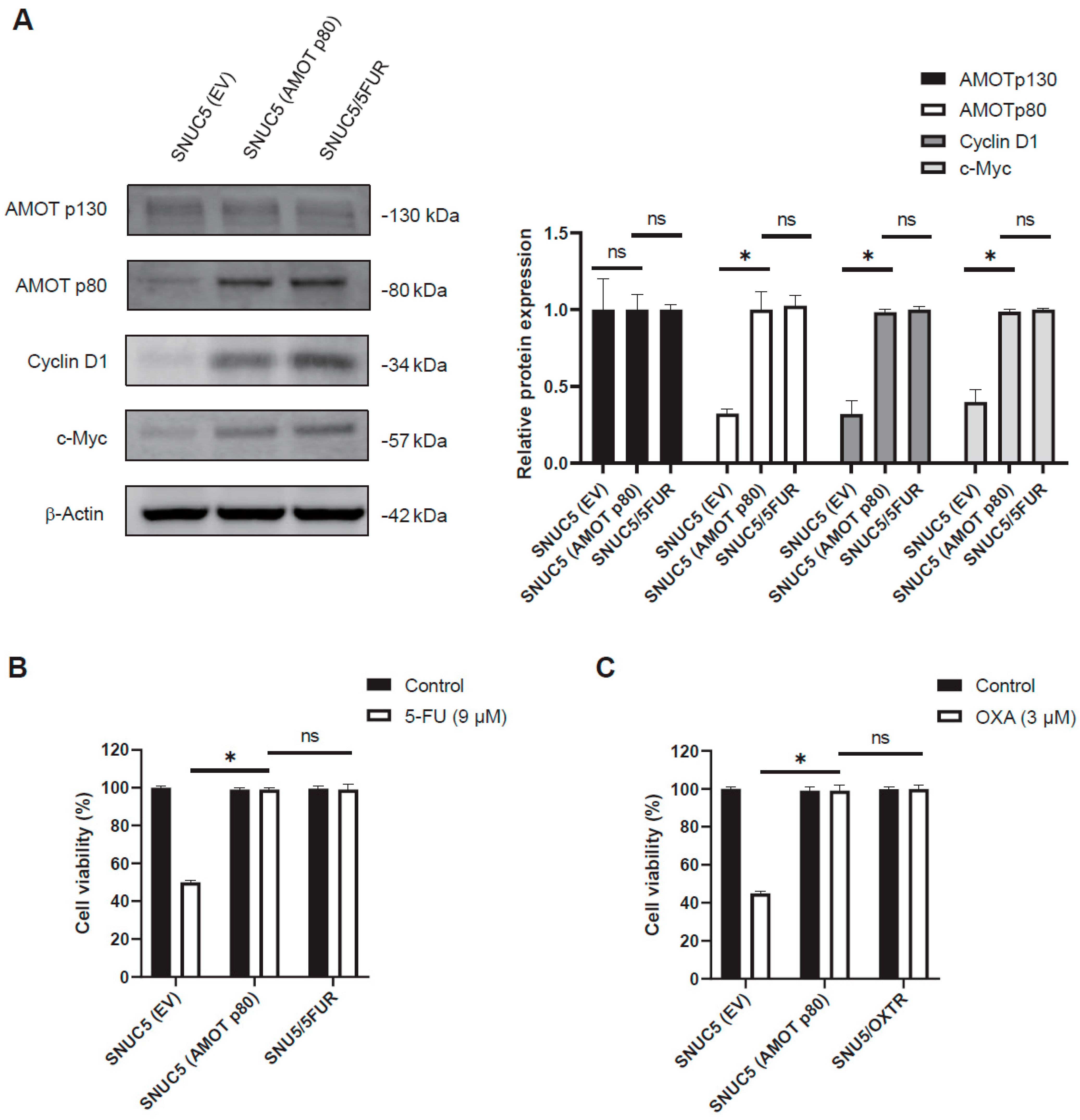 Biomolecules 16 00767 g007 Biomolecules 16 00767 g007