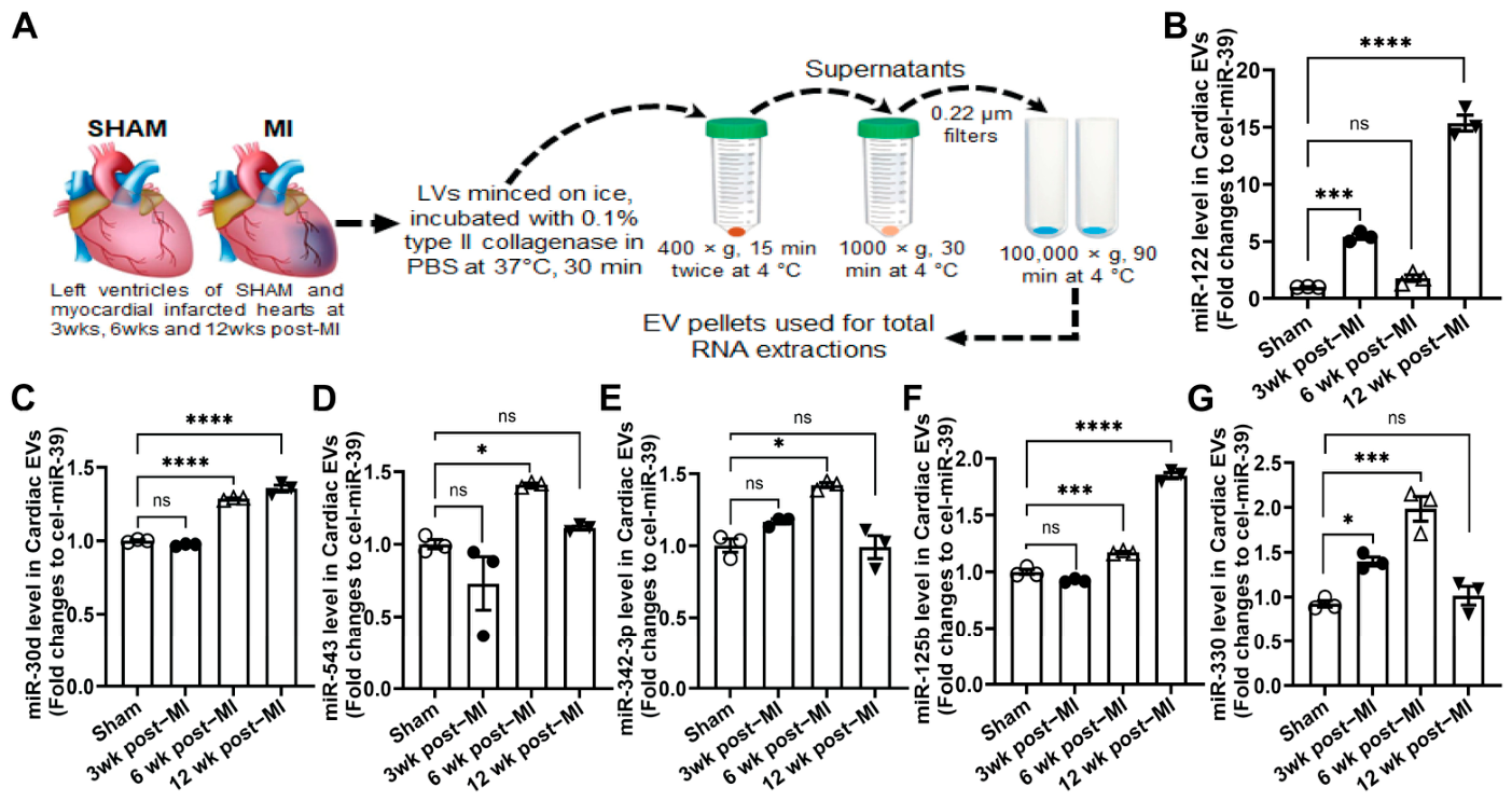 Biomolecules 16 00776 g005 Biomolecules 16 00776 g005