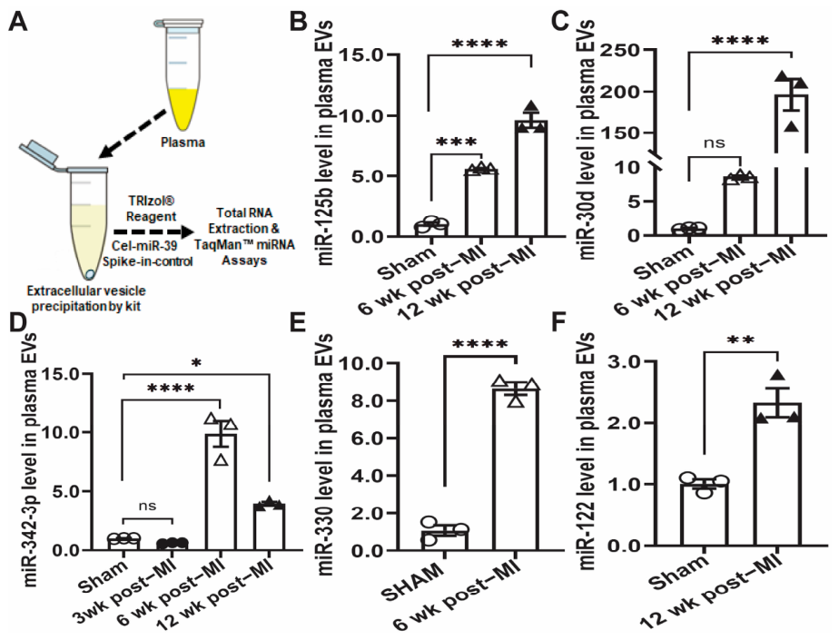 Biomolecules 16 00776 g006 Biomolecules 16 00776 g006