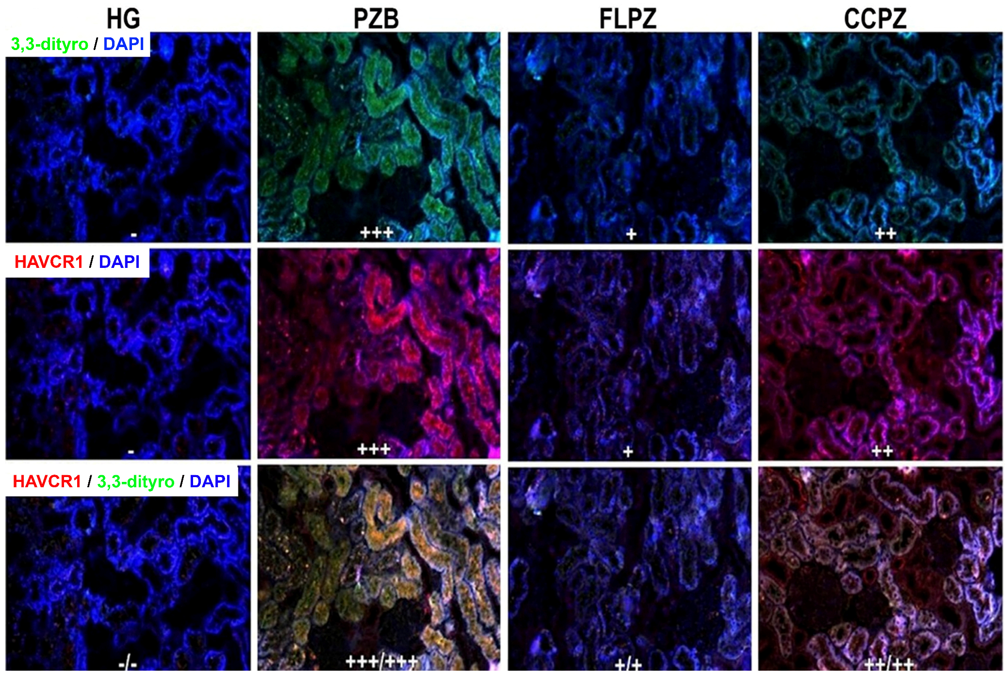 Biomolecules 16 00786 g003 Biomolecules 16 00786 g003