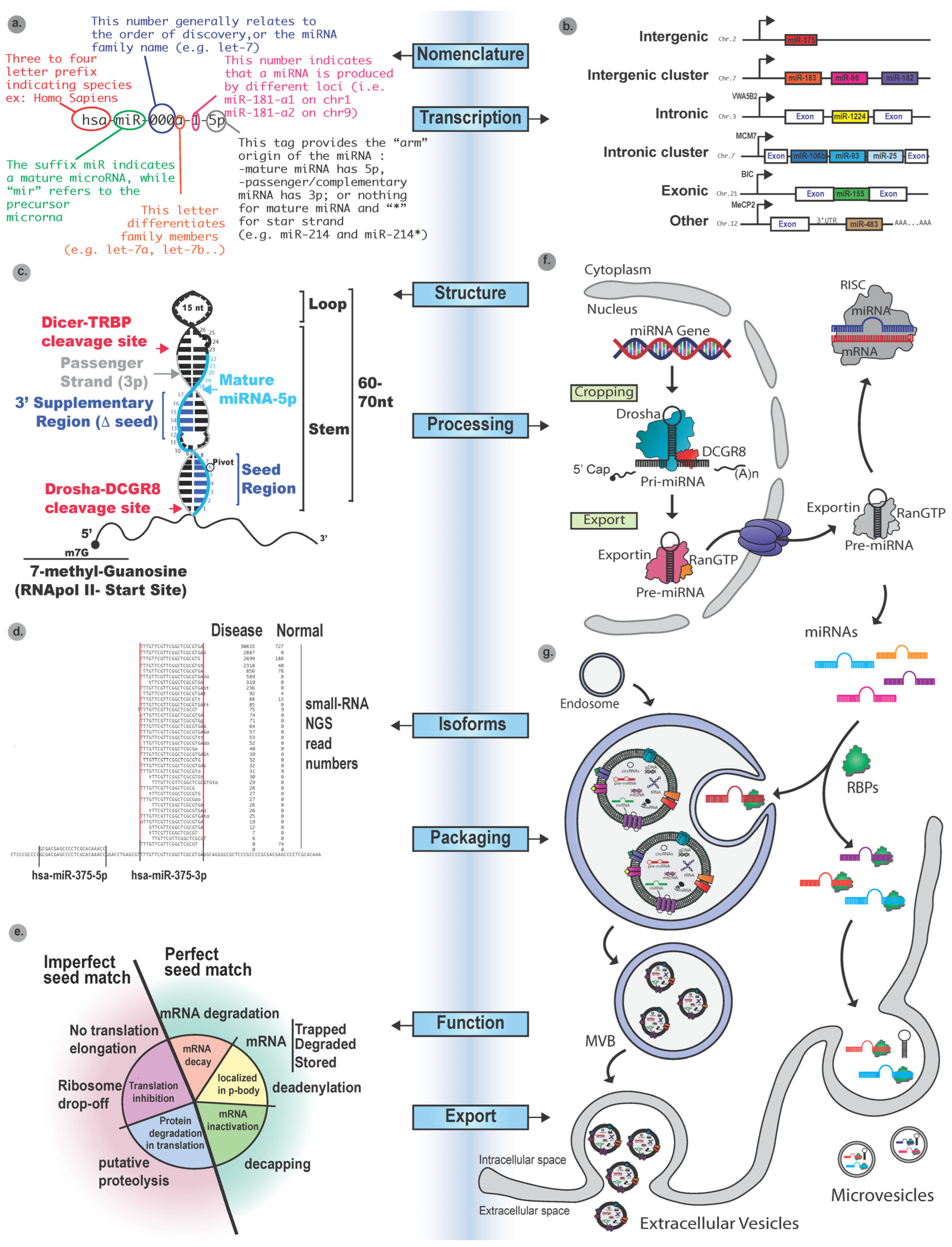 Biomolecules 16 00787 g001
