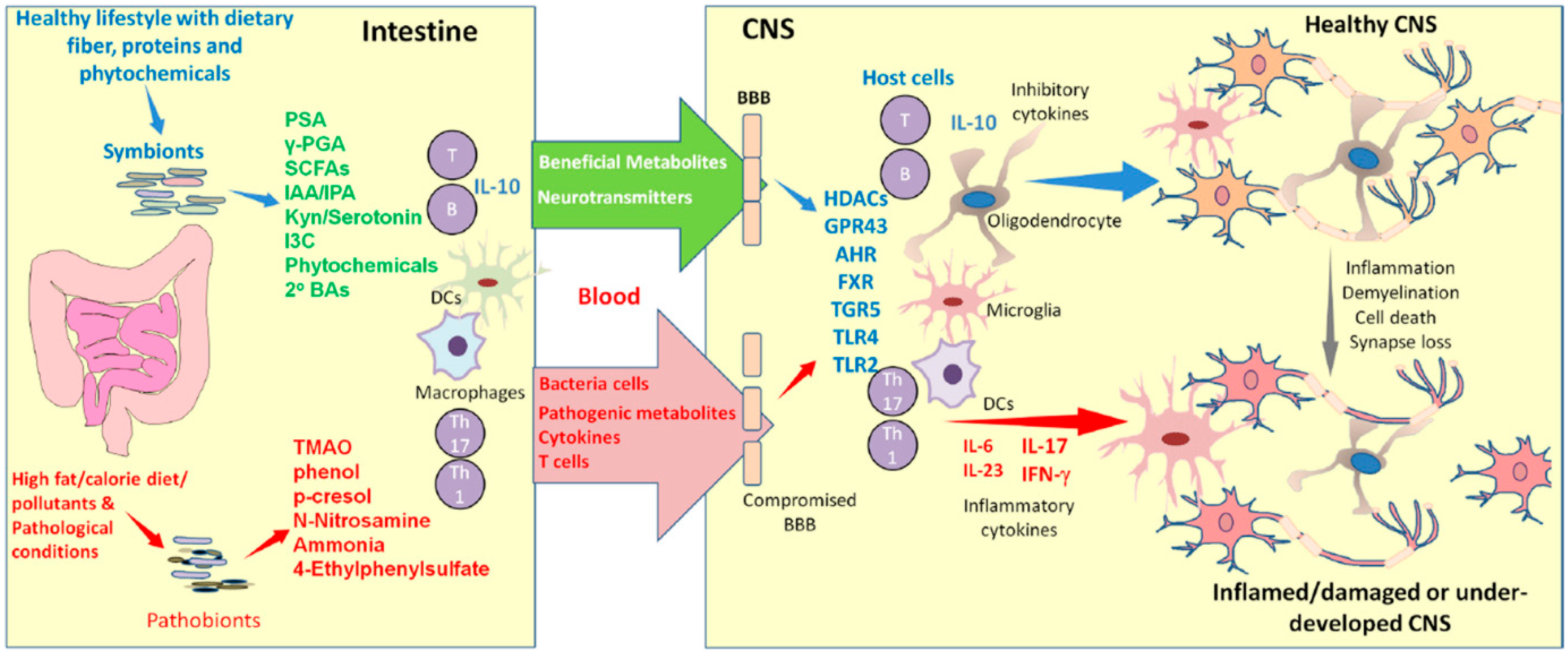 Biomolecules 16 00790 g001 Biomolecules 16 00790 g001