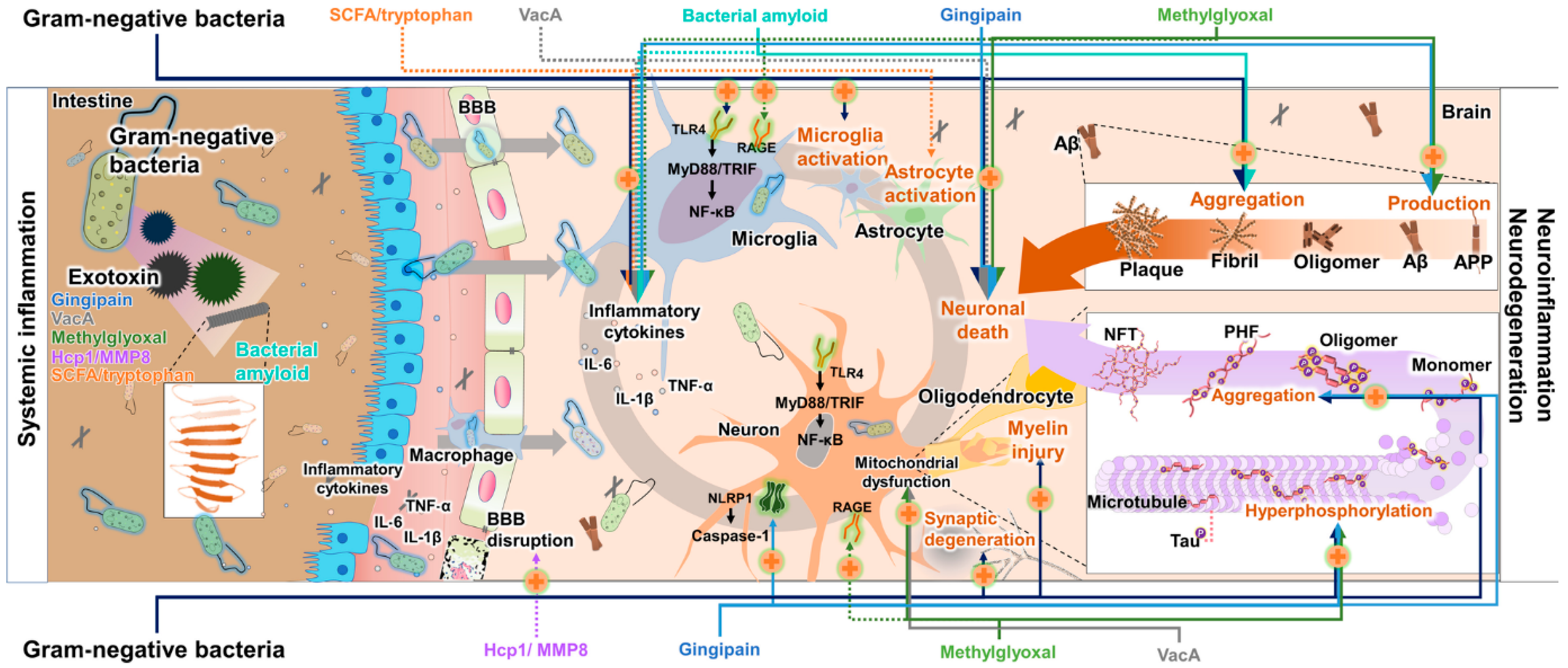 Biomolecules 16 00790 g005 Biomolecules 16 00790 g005