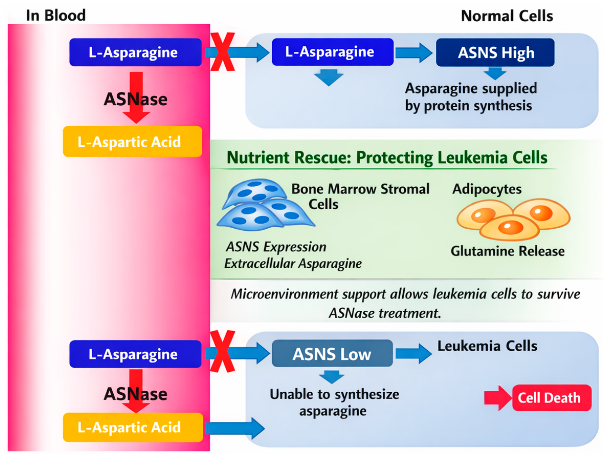 Biomolecules 16 00792 g001 Biomolecules 16 00792 g001