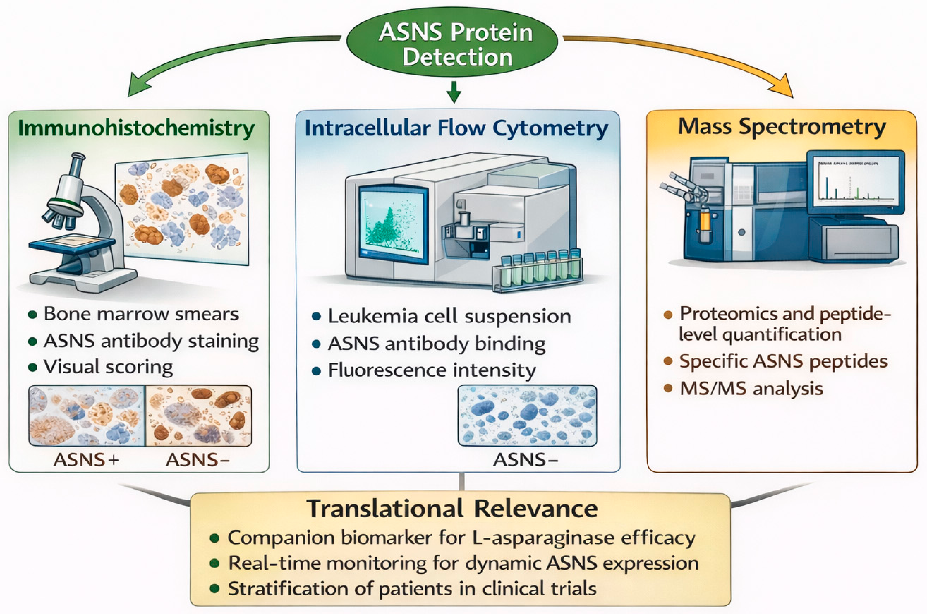 Biomolecules 16 00792 g003 Biomolecules 16 00792 g003