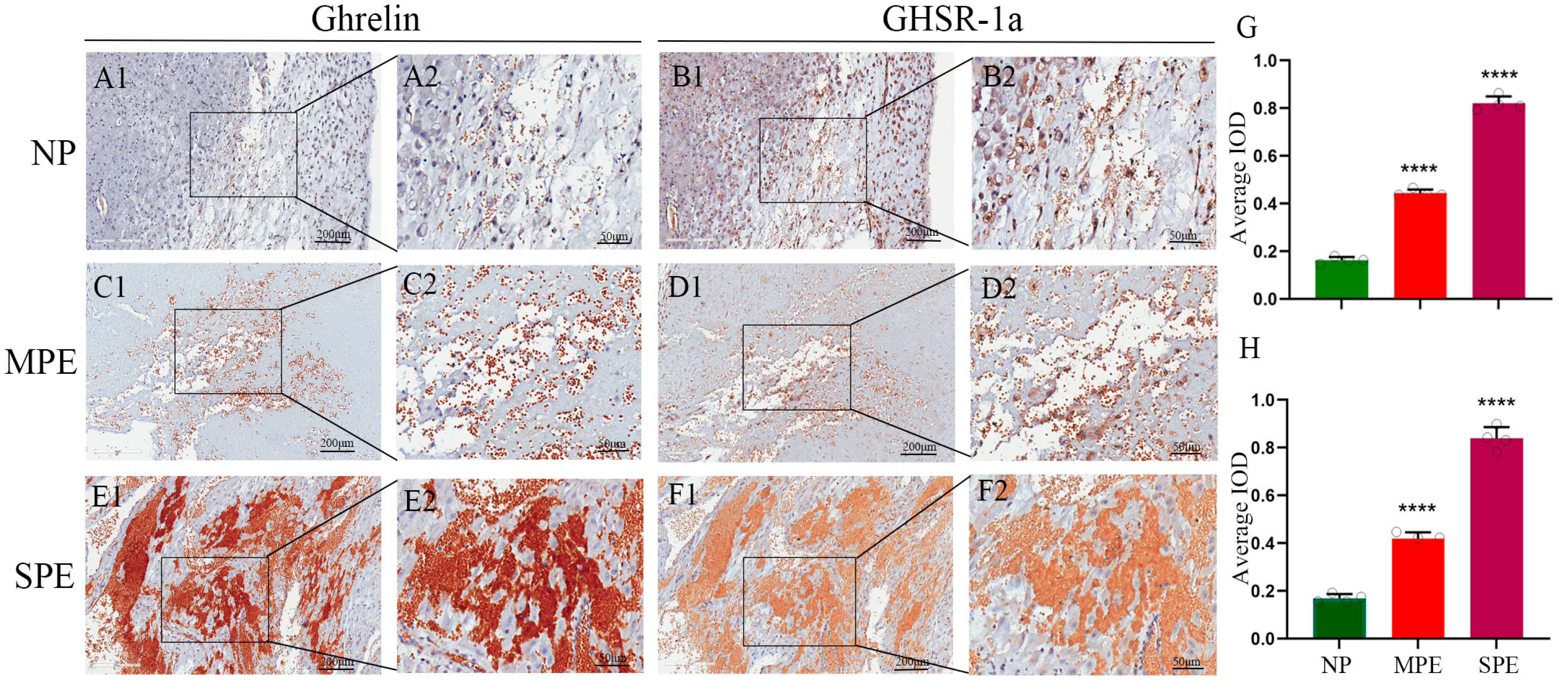 Biomolecules 16 00809 g001 Biomolecules 16 00809 g001