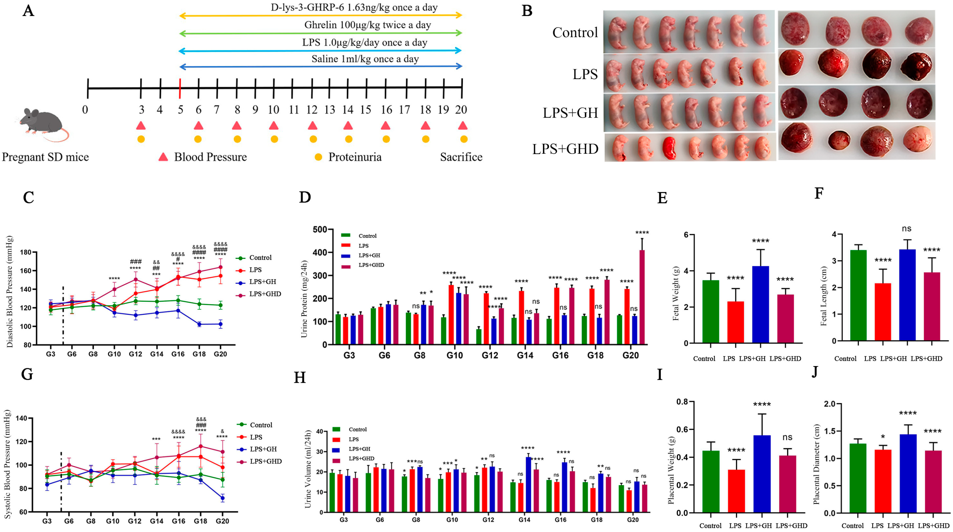 Biomolecules 16 00809 g002 Biomolecules 16 00809 g002