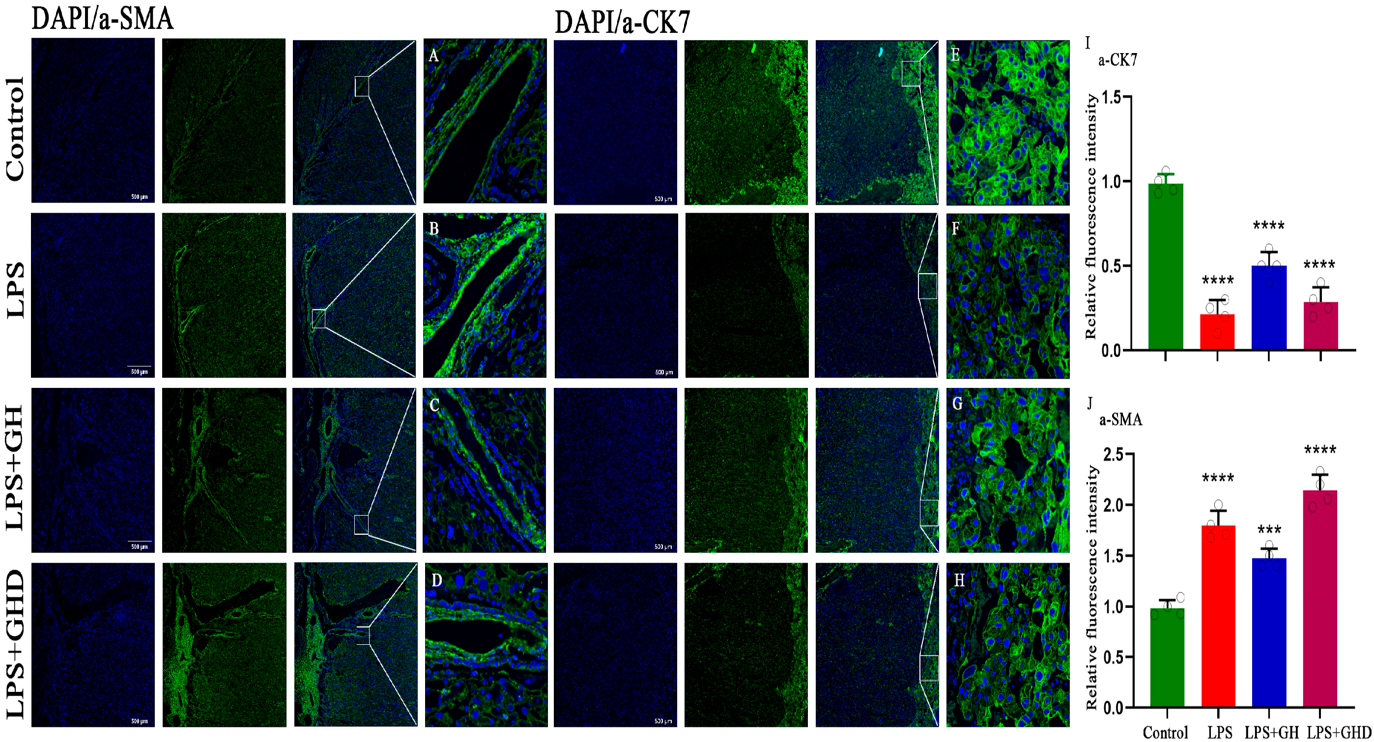 Biomolecules 16 00809 g005 Biomolecules 16 00809 g005