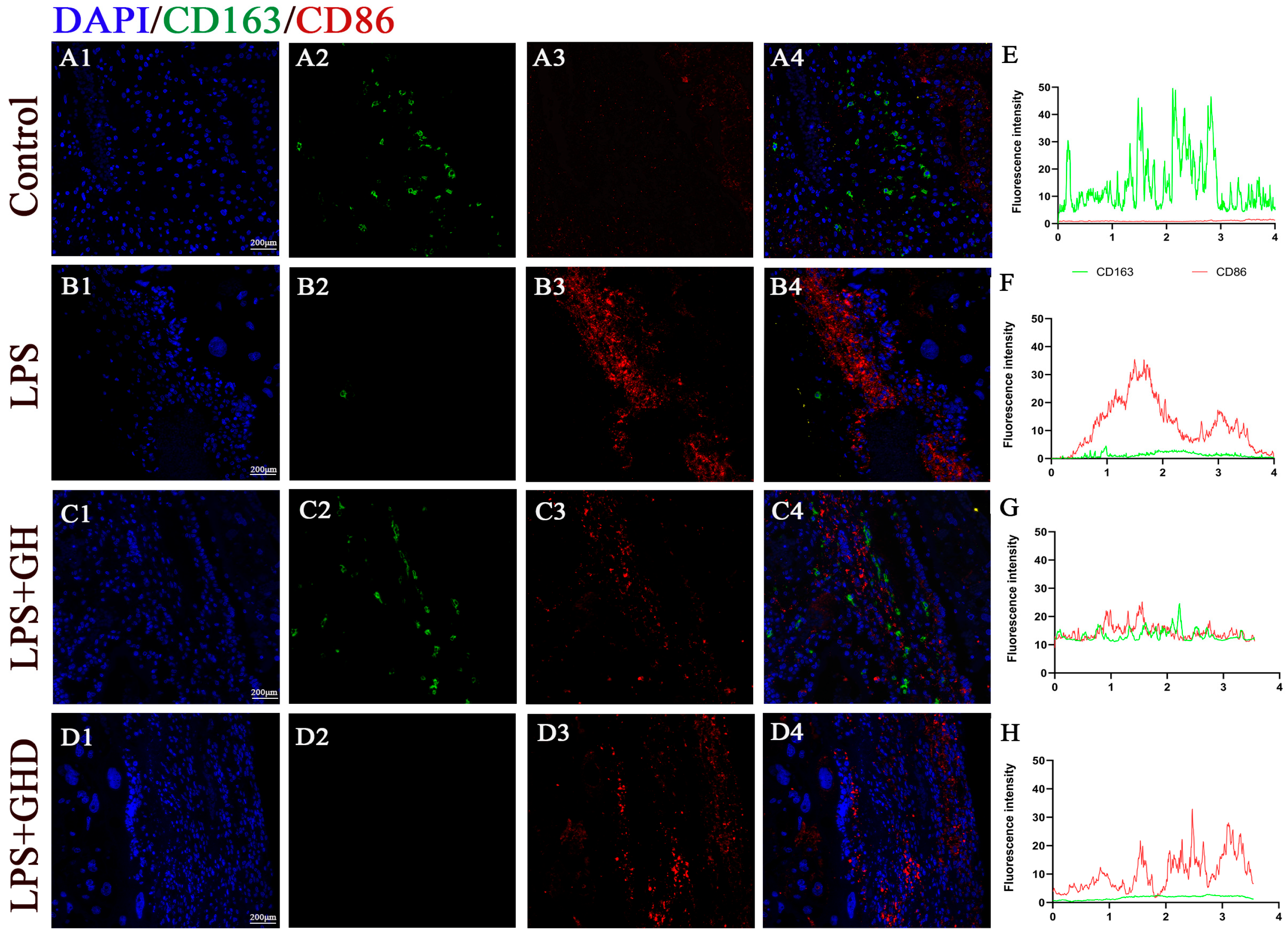 Biomolecules 16 00809 g006 Biomolecules 16 00809 g006