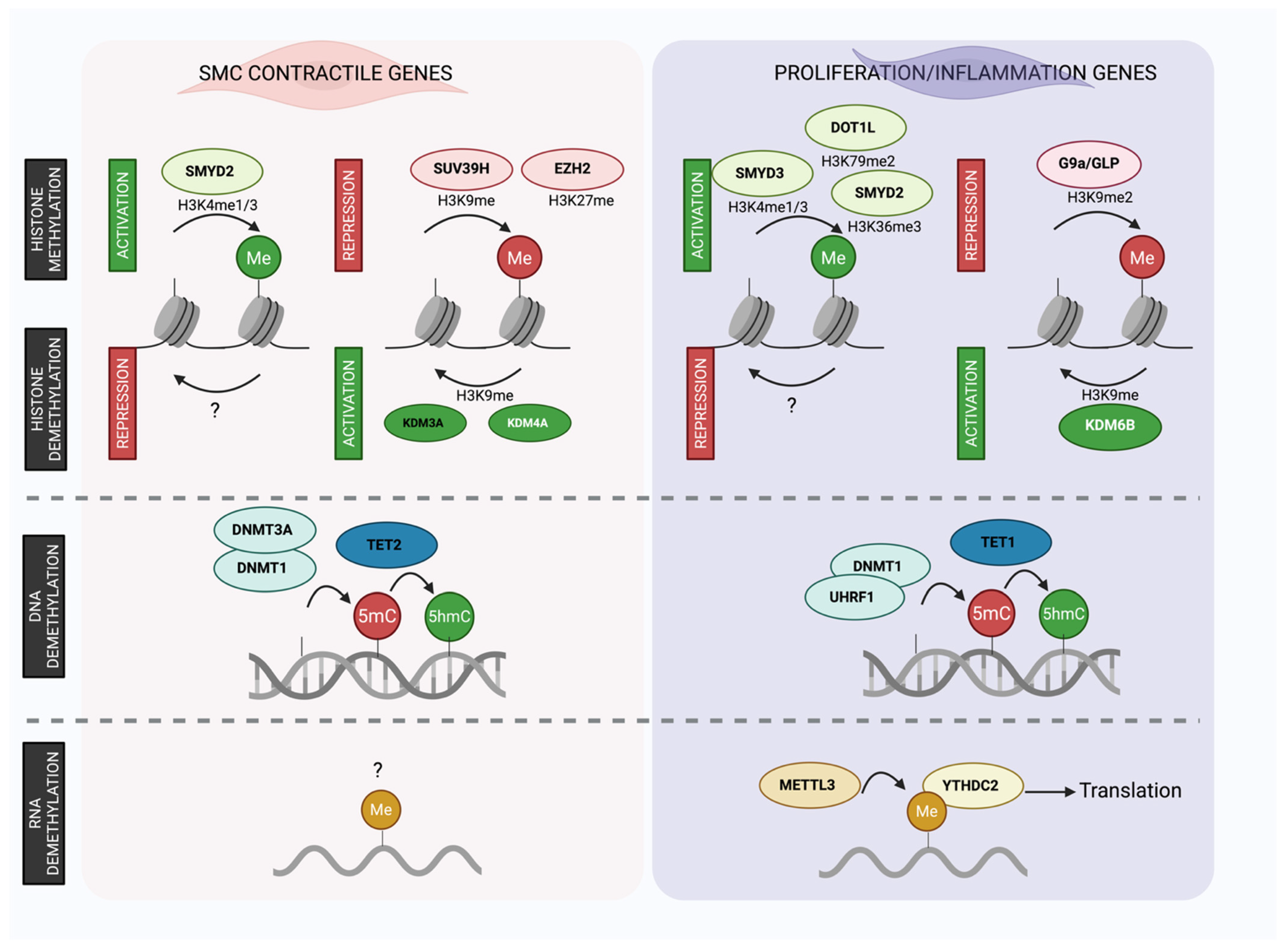 Biomolecules 16 00825 g001 Biomolecules 16 00825 g001