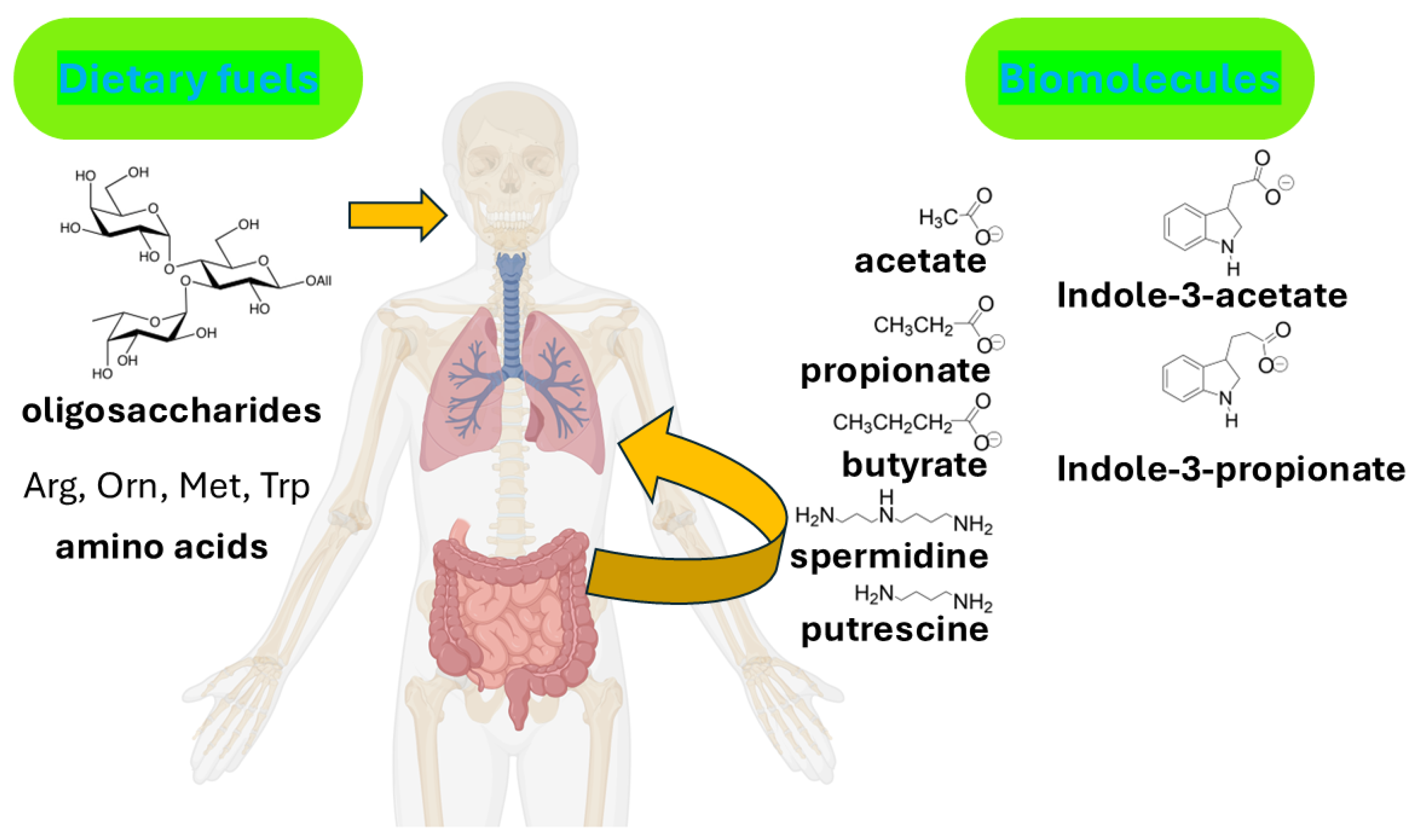 Biomolecules 16 00833 g001 Biomolecules 16 00833 g001