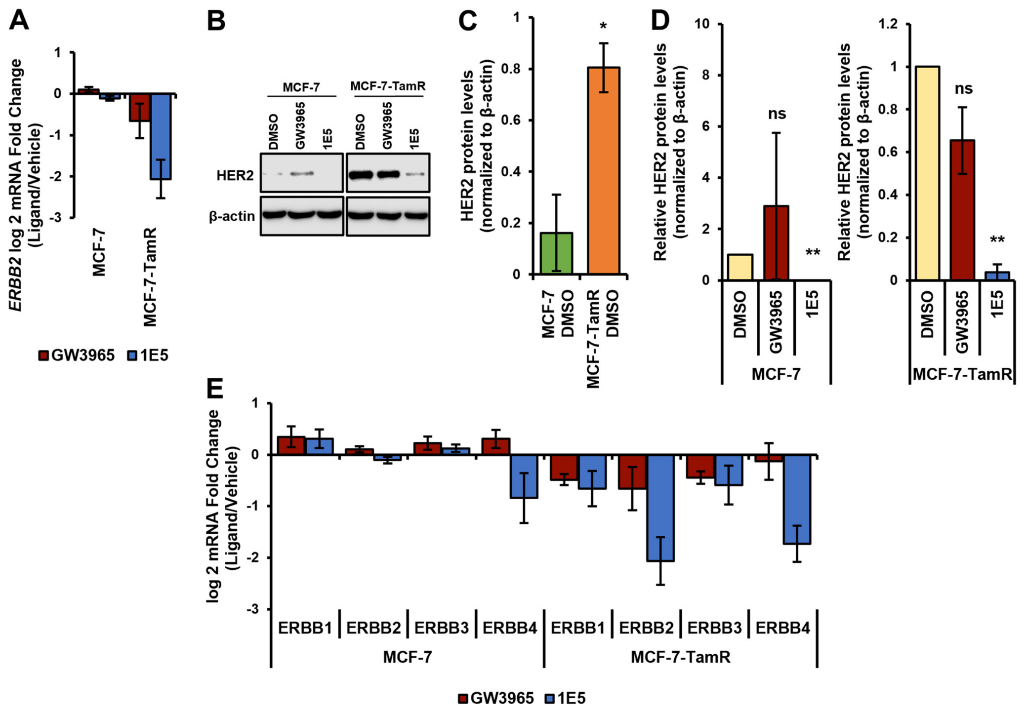 Biomolecules 16 00856 g003 Biomolecules 16 00856 g003
