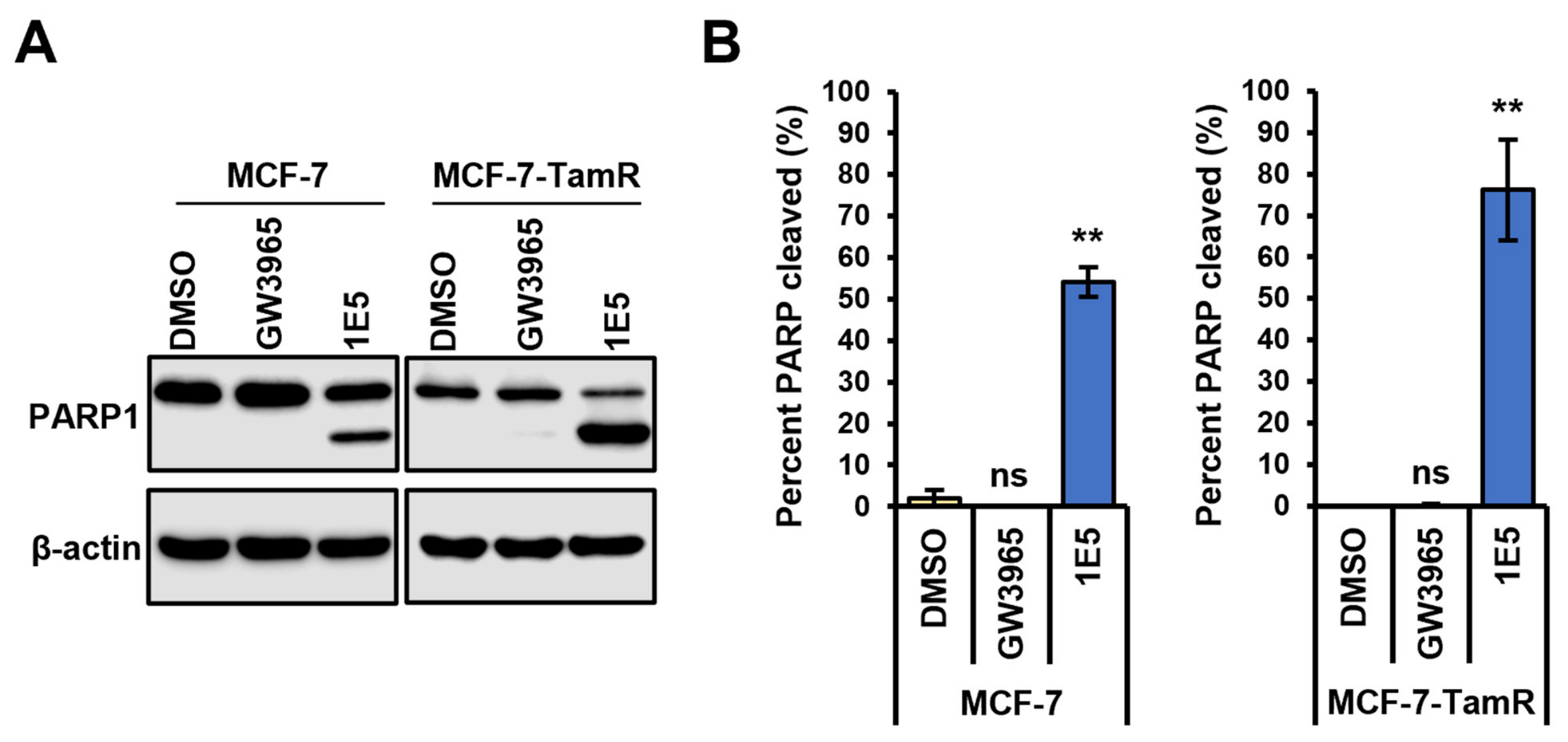 Biomolecules 16 00856 g004 Biomolecules 16 00856 g004