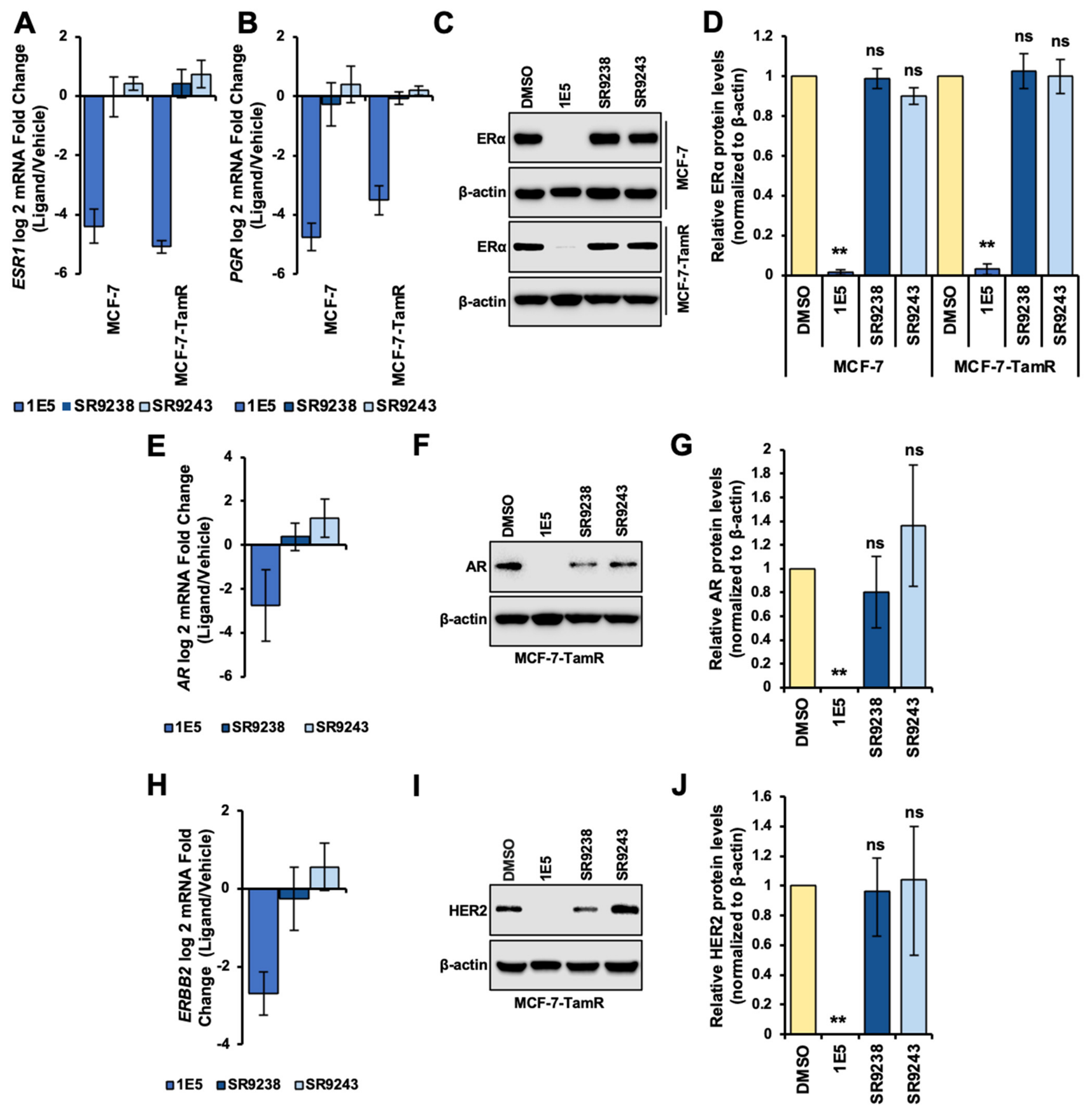 Biomolecules 16 00856 g007 Biomolecules 16 00856 g007