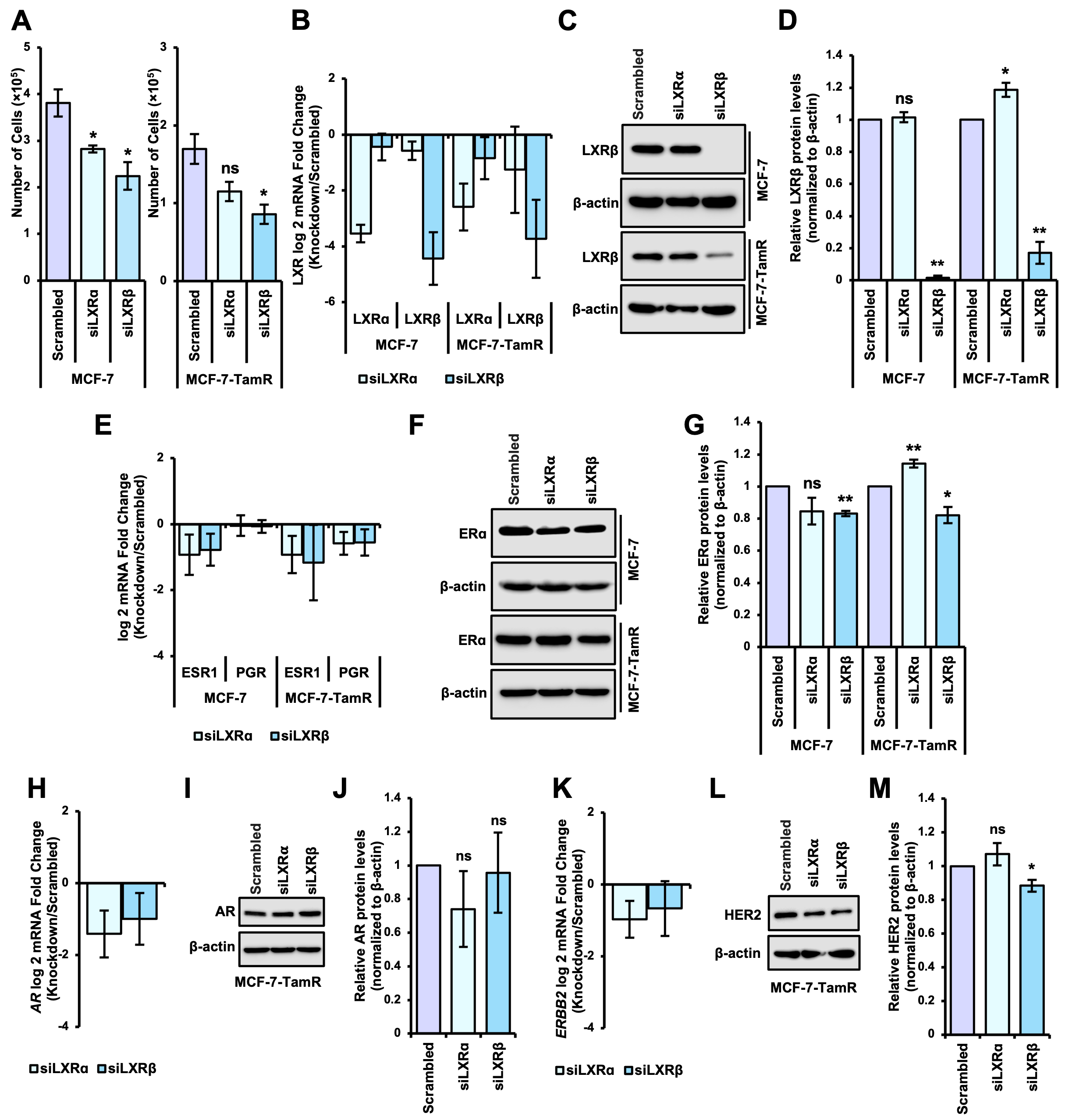 Biomolecules 16 00856 g008 Biomolecules 16 00856 g008