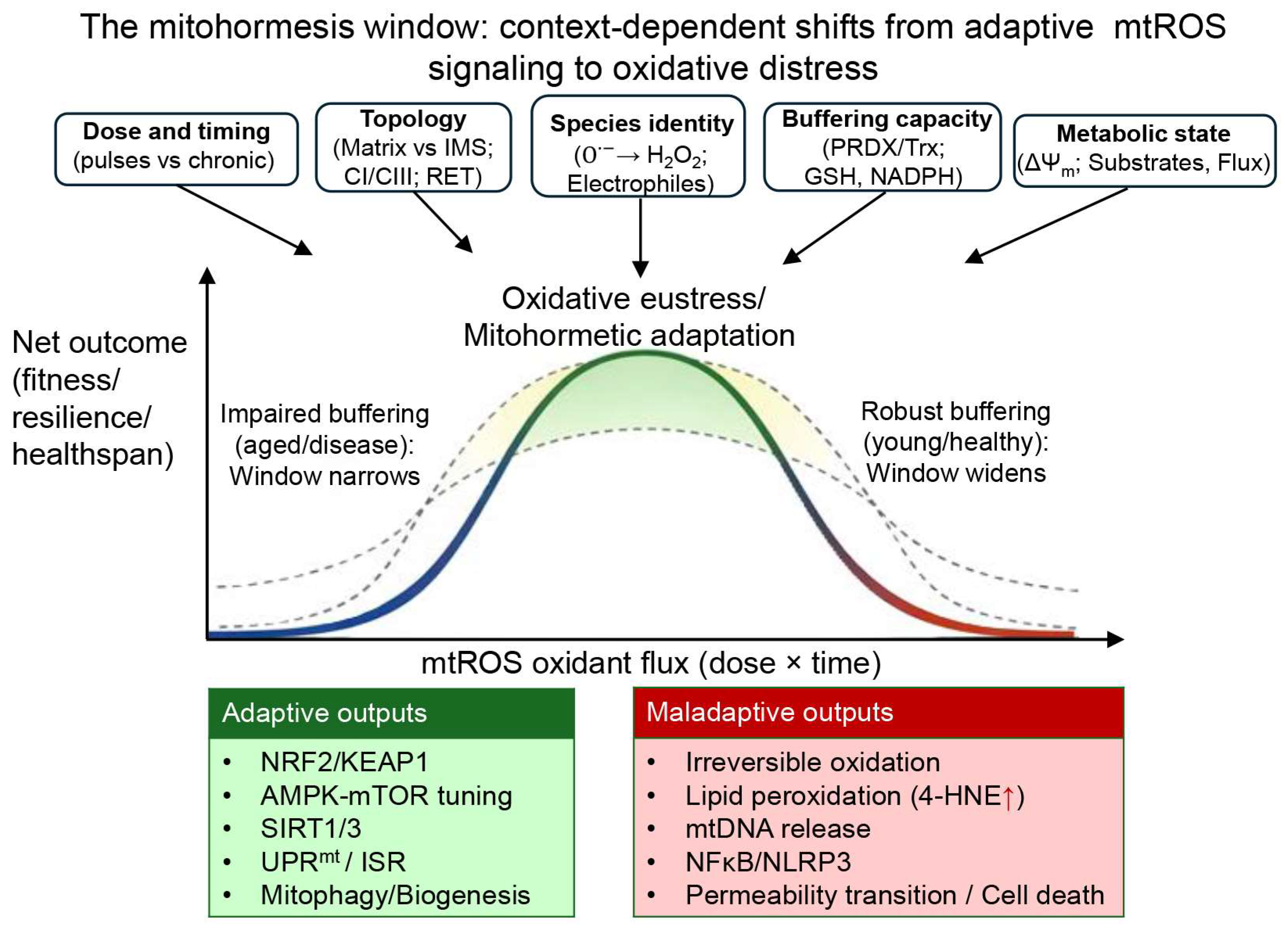 Biomolecules 16 00867 g001 Biomolecules 16 00867 g001