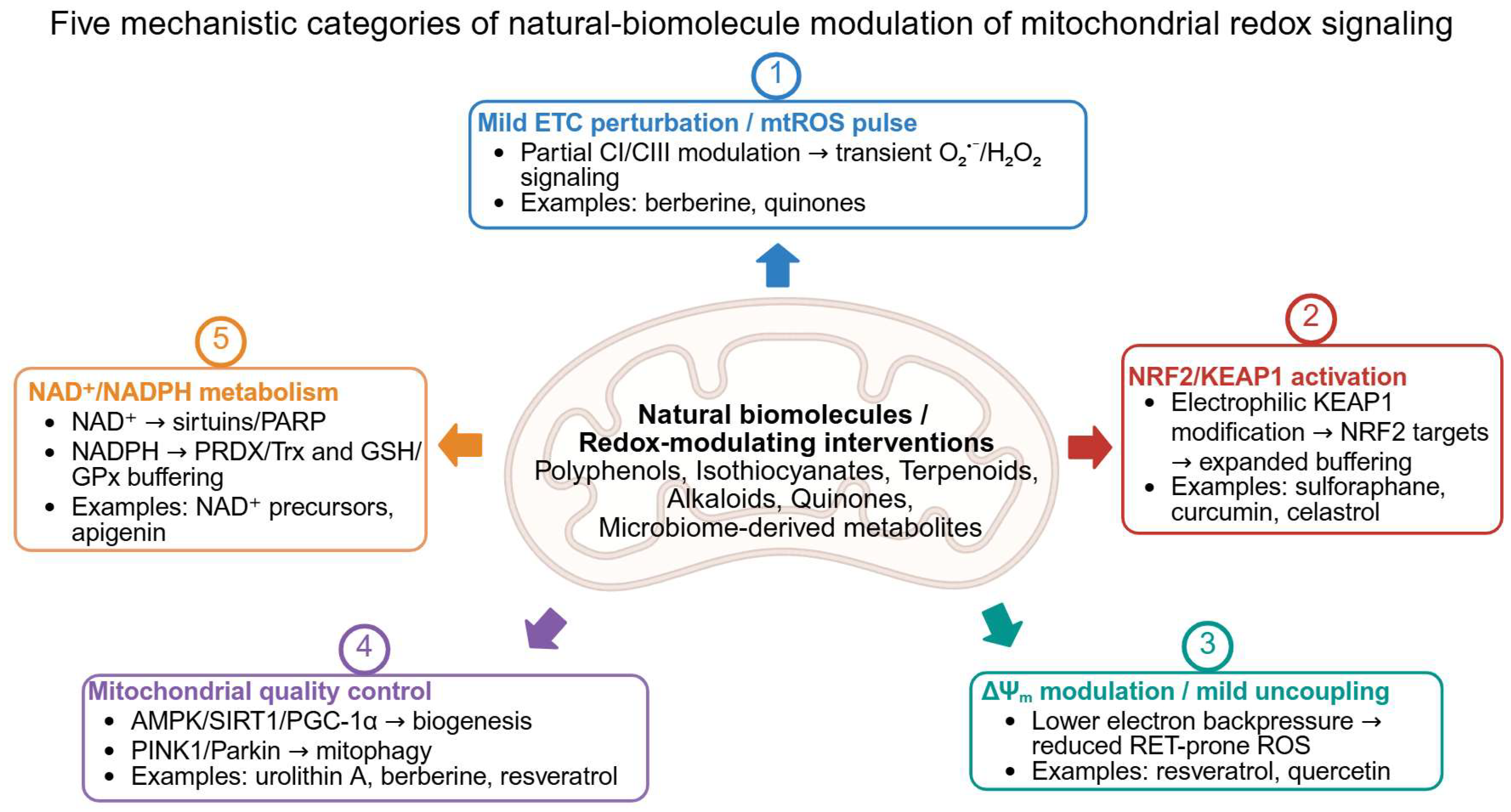 Biomolecules 16 00867 g002 Biomolecules 16 00867 g002