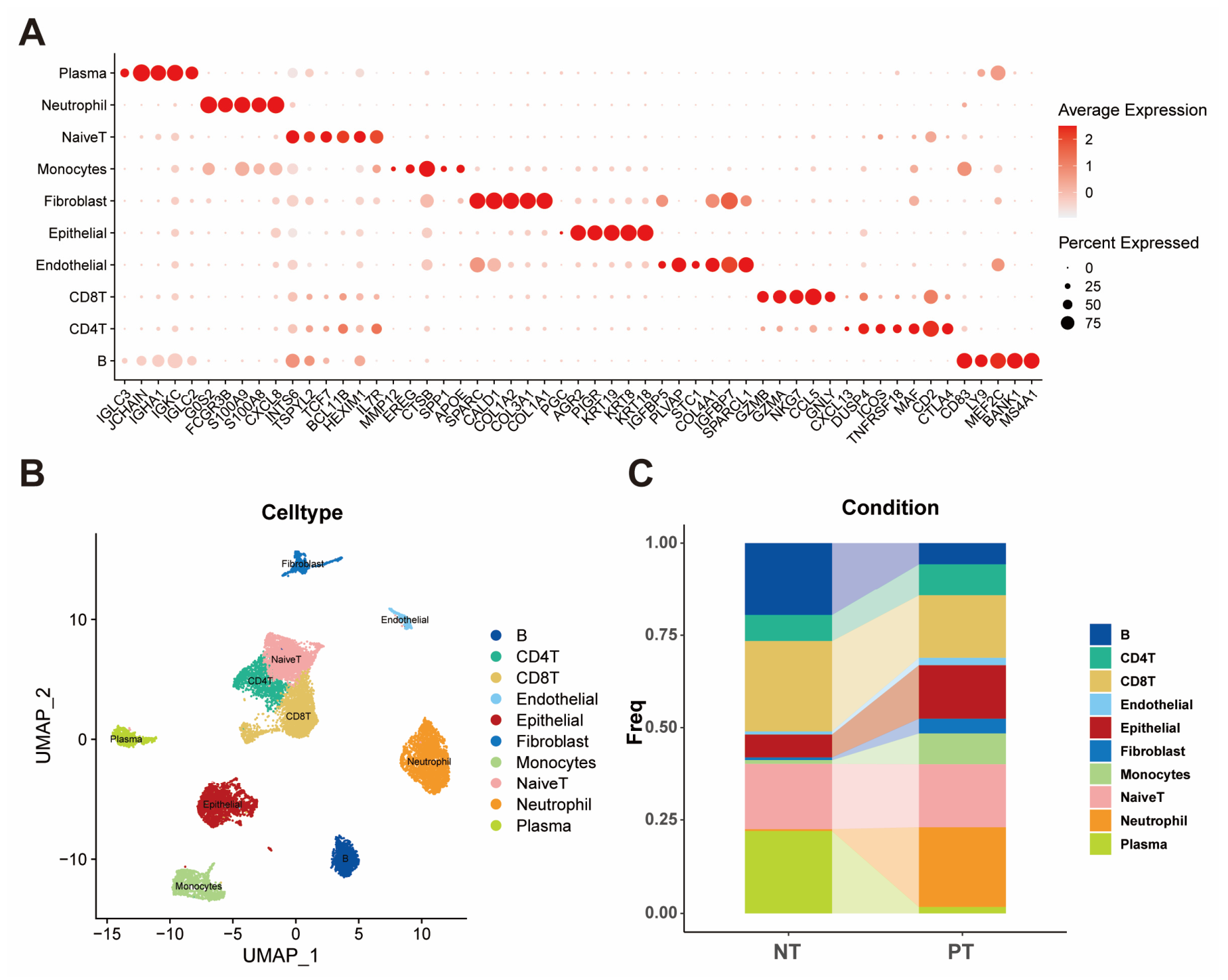 Biomolecules 16 00880 g001 Biomolecules 16 00880 g001