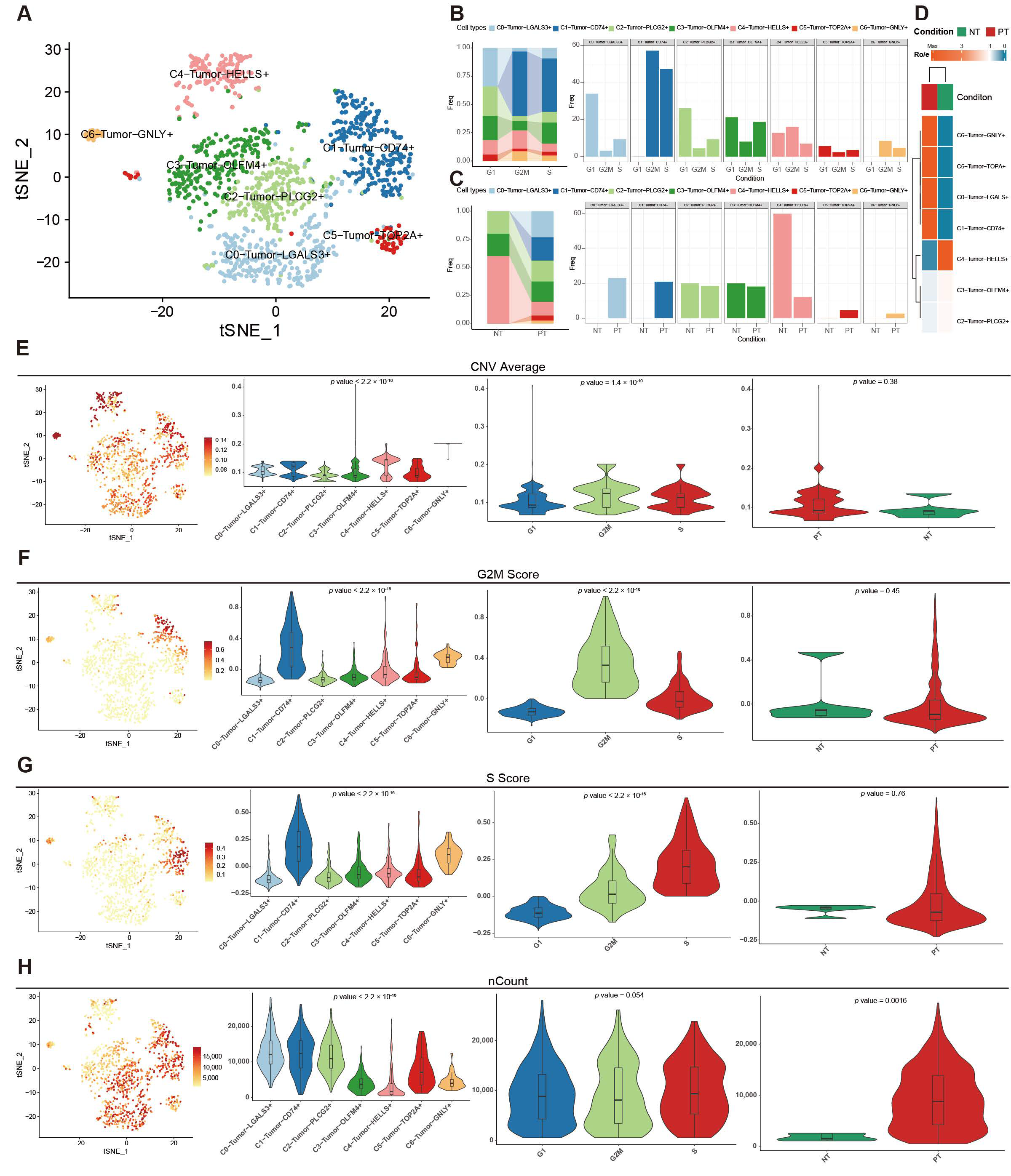 Biomolecules 16 00880 g003 Biomolecules 16 00880 g003