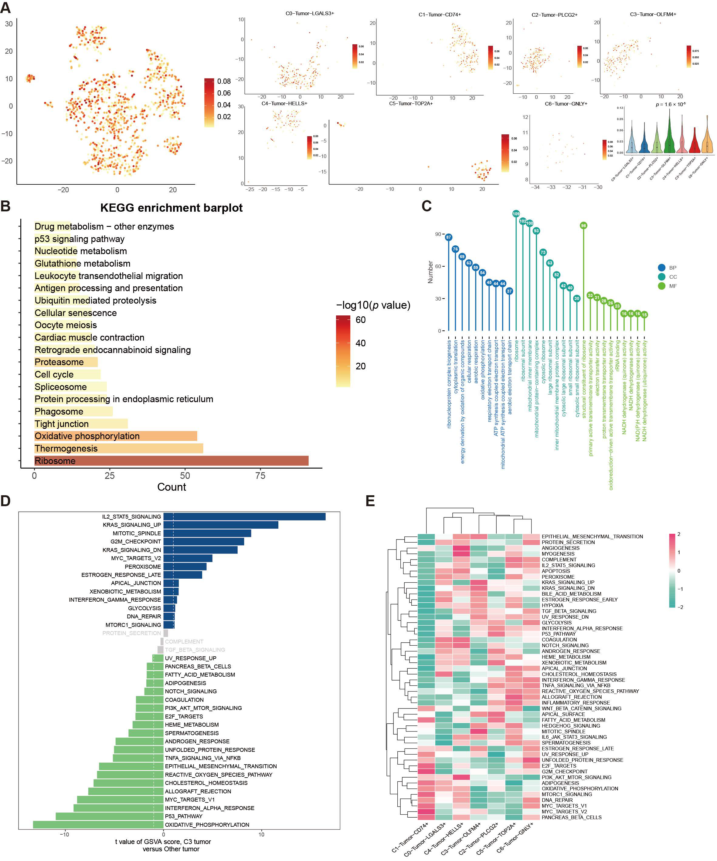 Biomolecules 16 00880 g006 Biomolecules 16 00880 g006