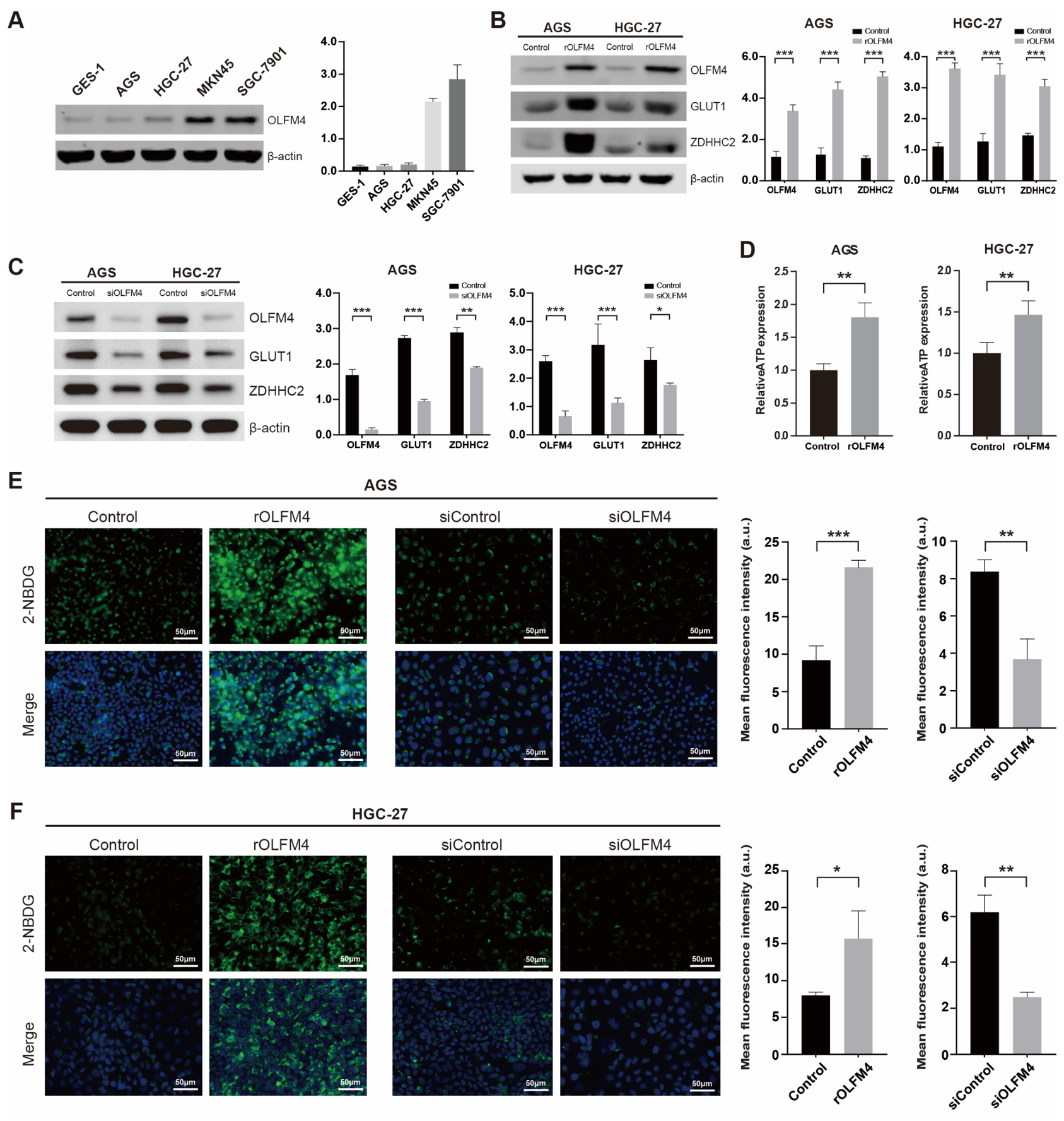 Biomolecules 16 00880 g007 Biomolecules 16 00880 g007
