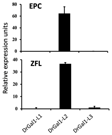 Biomolecules 16 00882 g001 Biomolecules 16 00882 g001