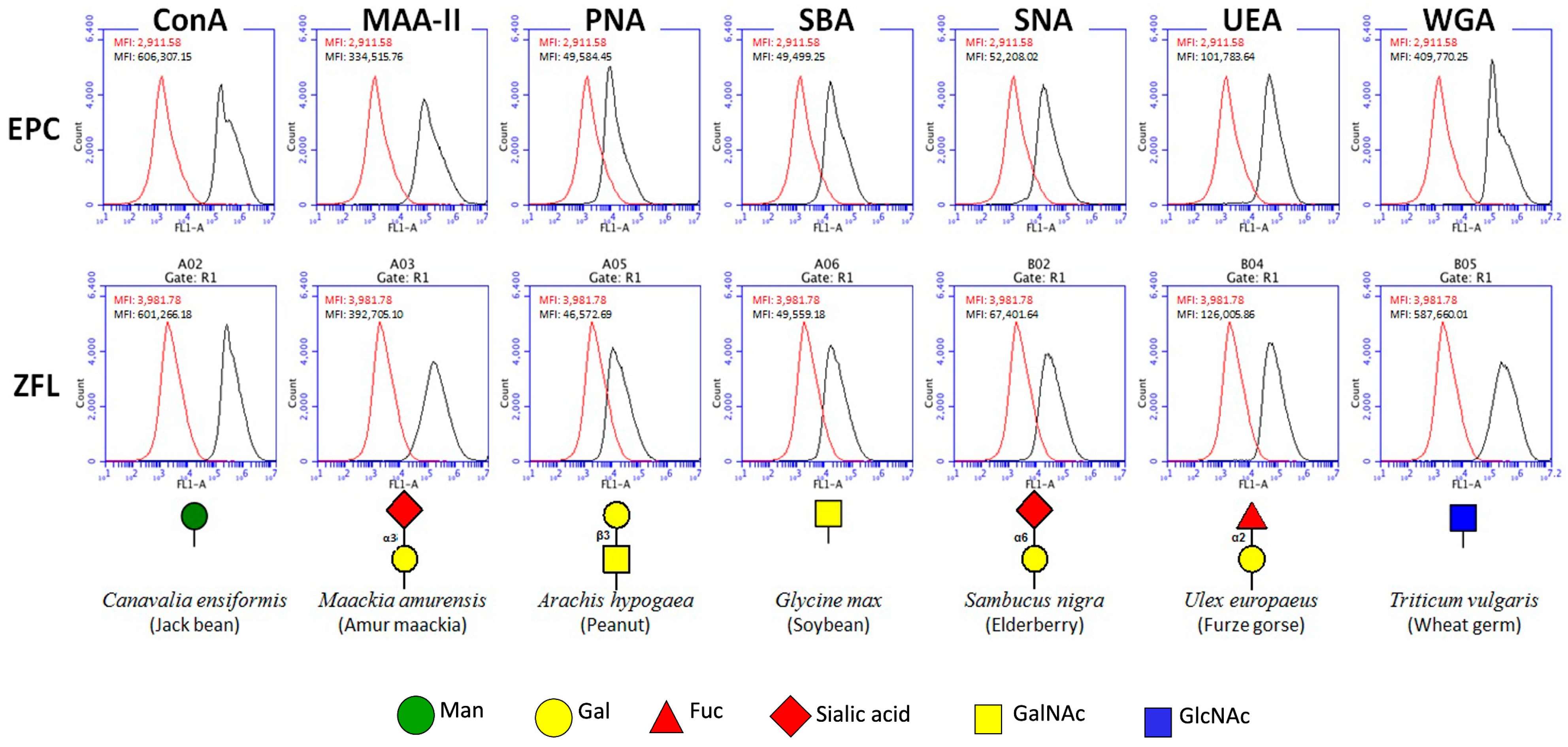 Biomolecules 16 00882 g002 Biomolecules 16 00882 g002