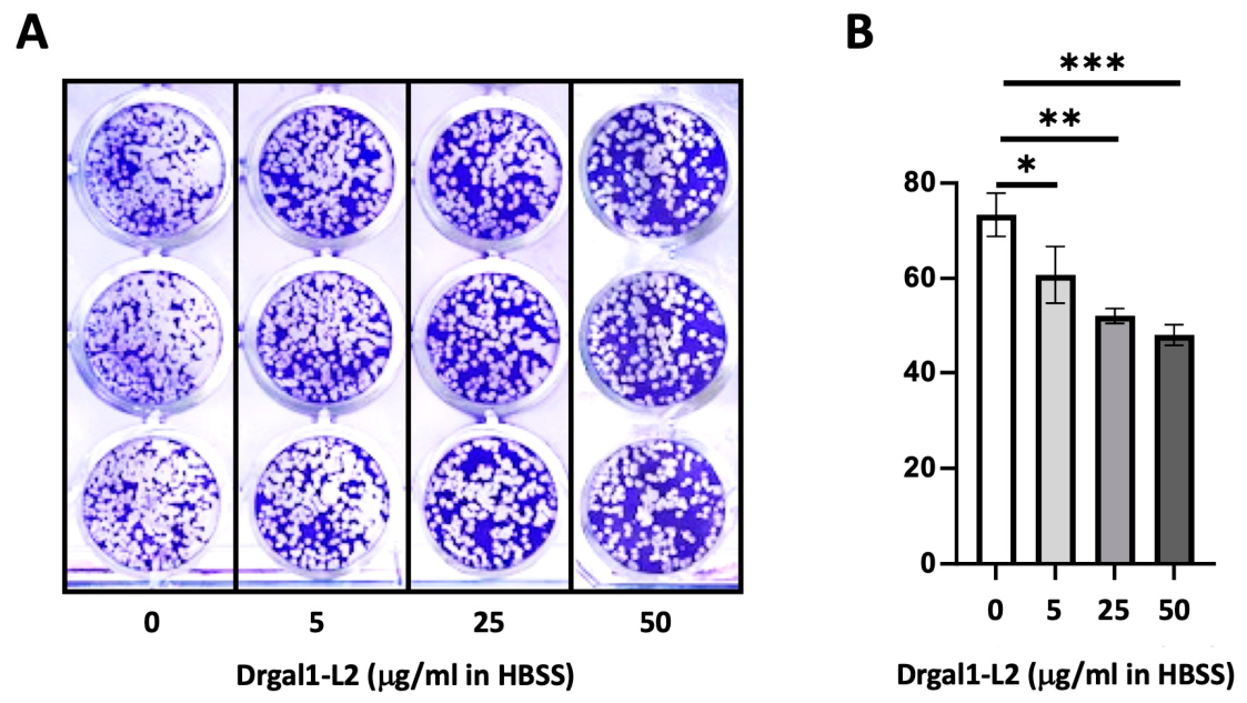 Biomolecules 16 00882 g004 Biomolecules 16 00882 g004