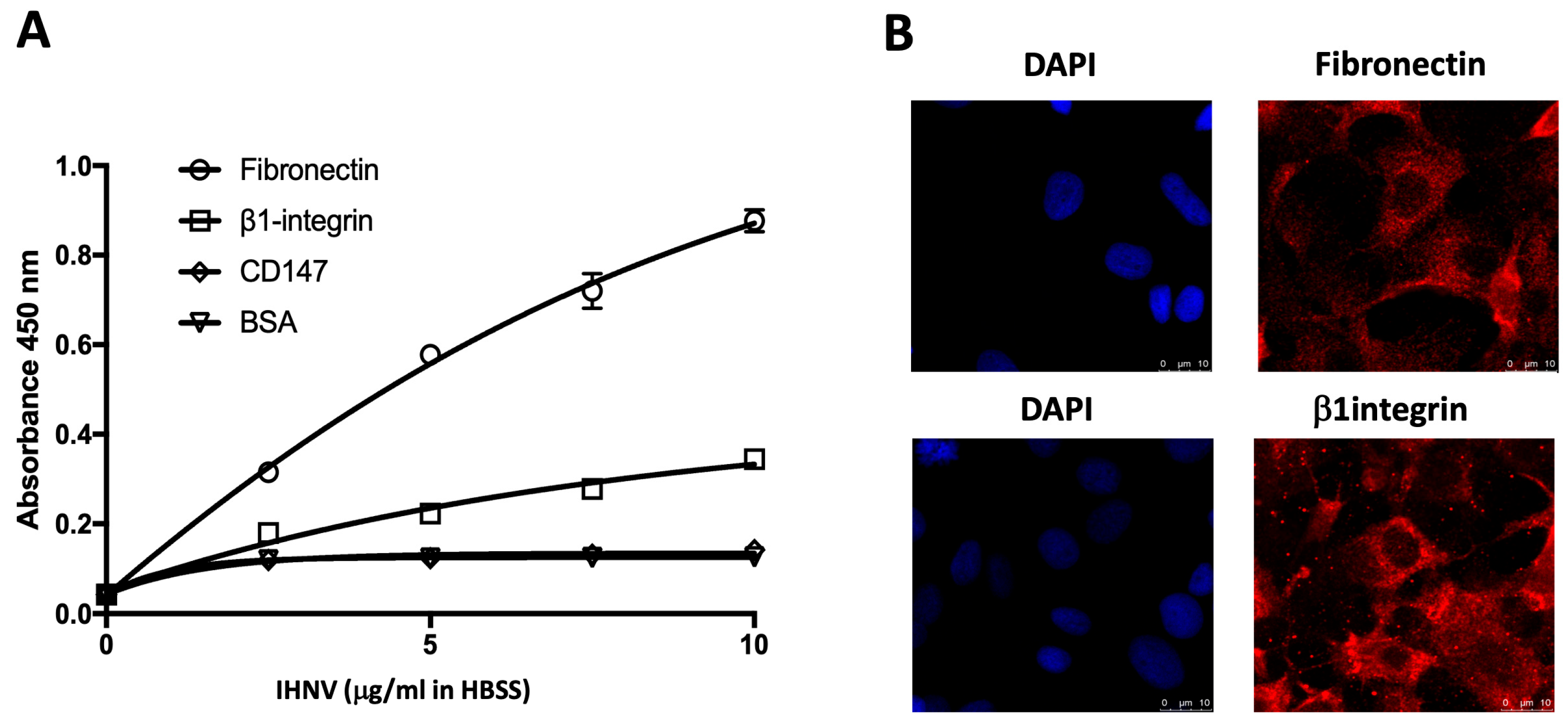 Biomolecules 16 00882 g005 Biomolecules 16 00882 g005