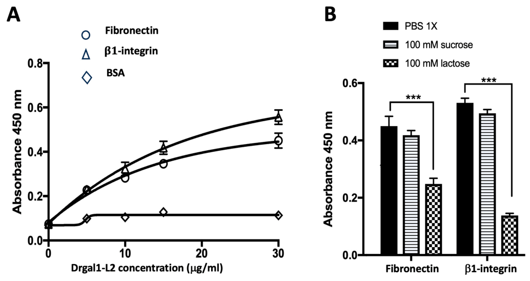 Biomolecules 16 00882 g006 Biomolecules 16 00882 g006