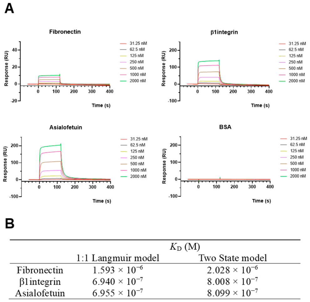 Biomolecules 16 00882 g007 Biomolecules 16 00882 g007