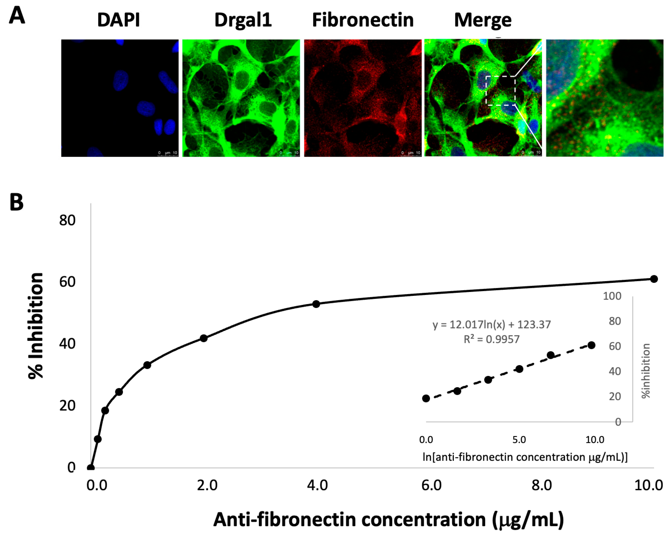 Biomolecules 16 00882 g010 Biomolecules 16 00882 g010