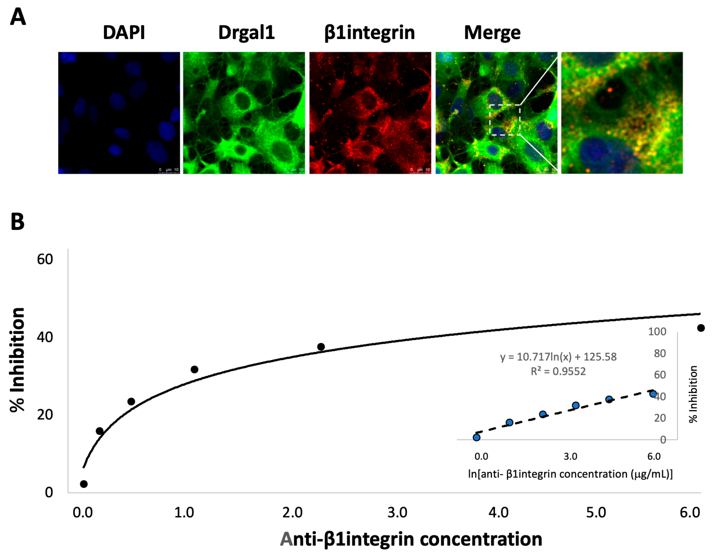 Biomolecules 16 00882 g011 Biomolecules 16 00882 g011