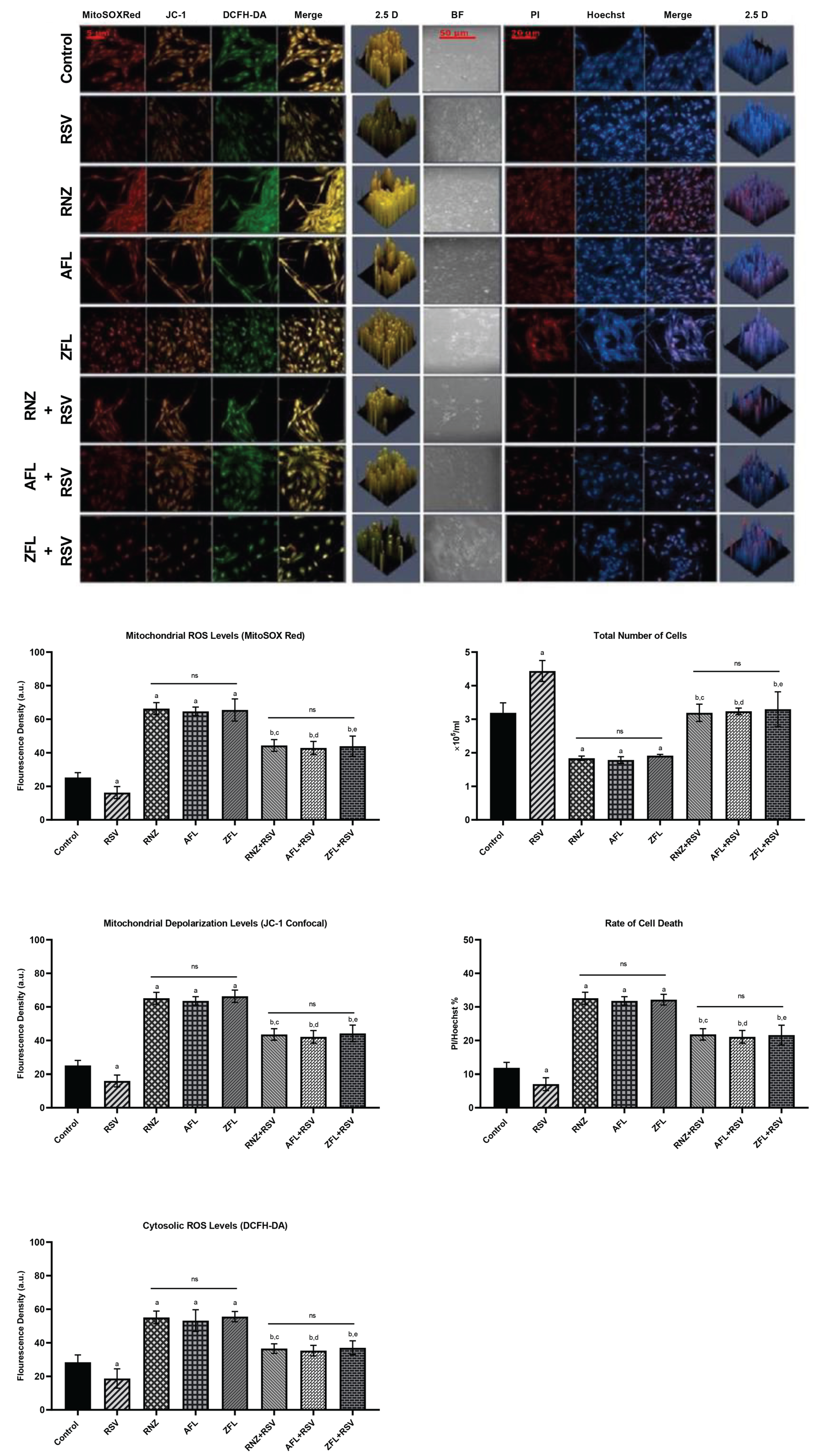 Biomolecules 16 00883 g001