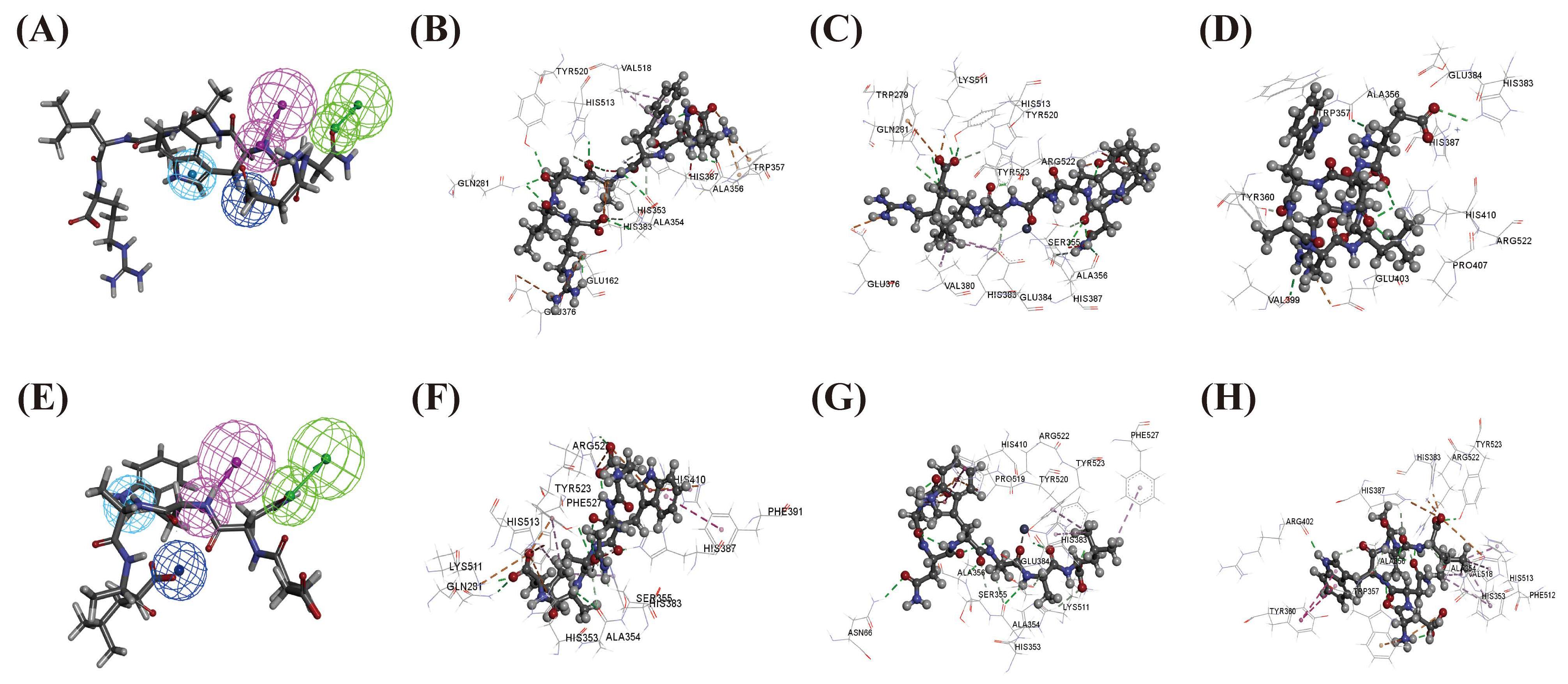 Biomolecules 16 00888 g003 Biomolecules 16 00888 g003