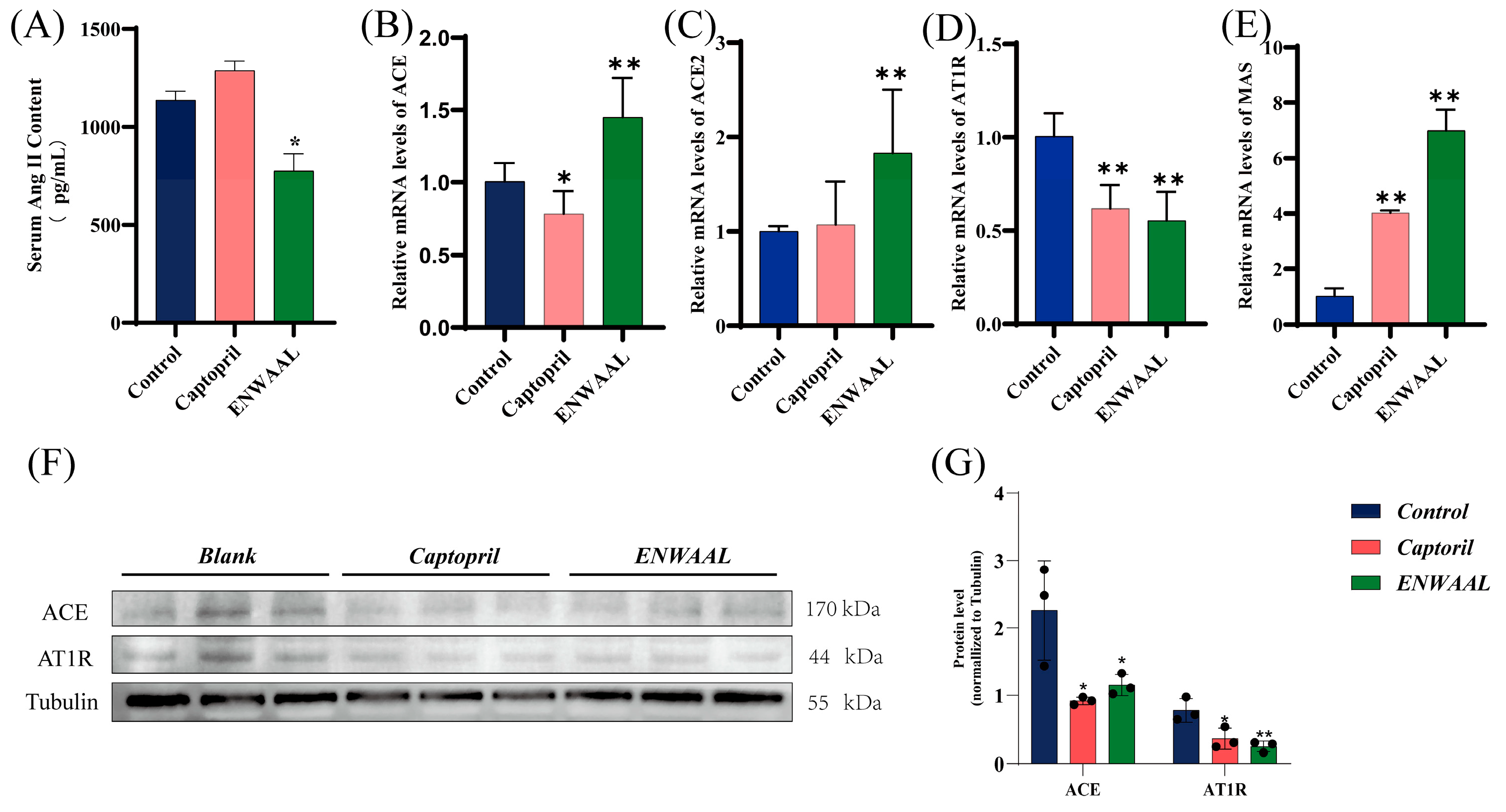 Biomolecules 16 00888 g006 Biomolecules 16 00888 g006