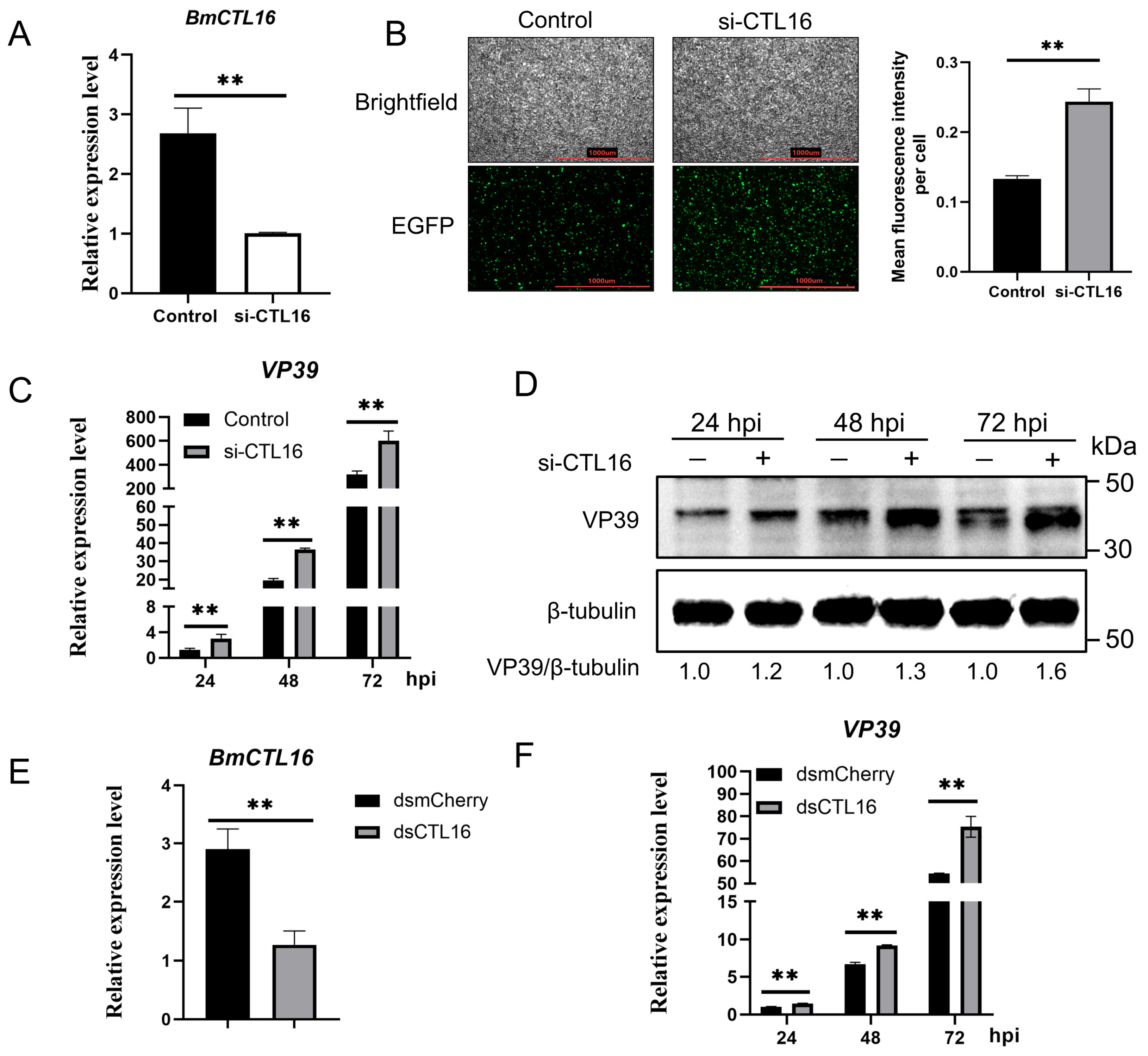 Biomolecules 16 00890 g003 Biomolecules 16 00890 g003