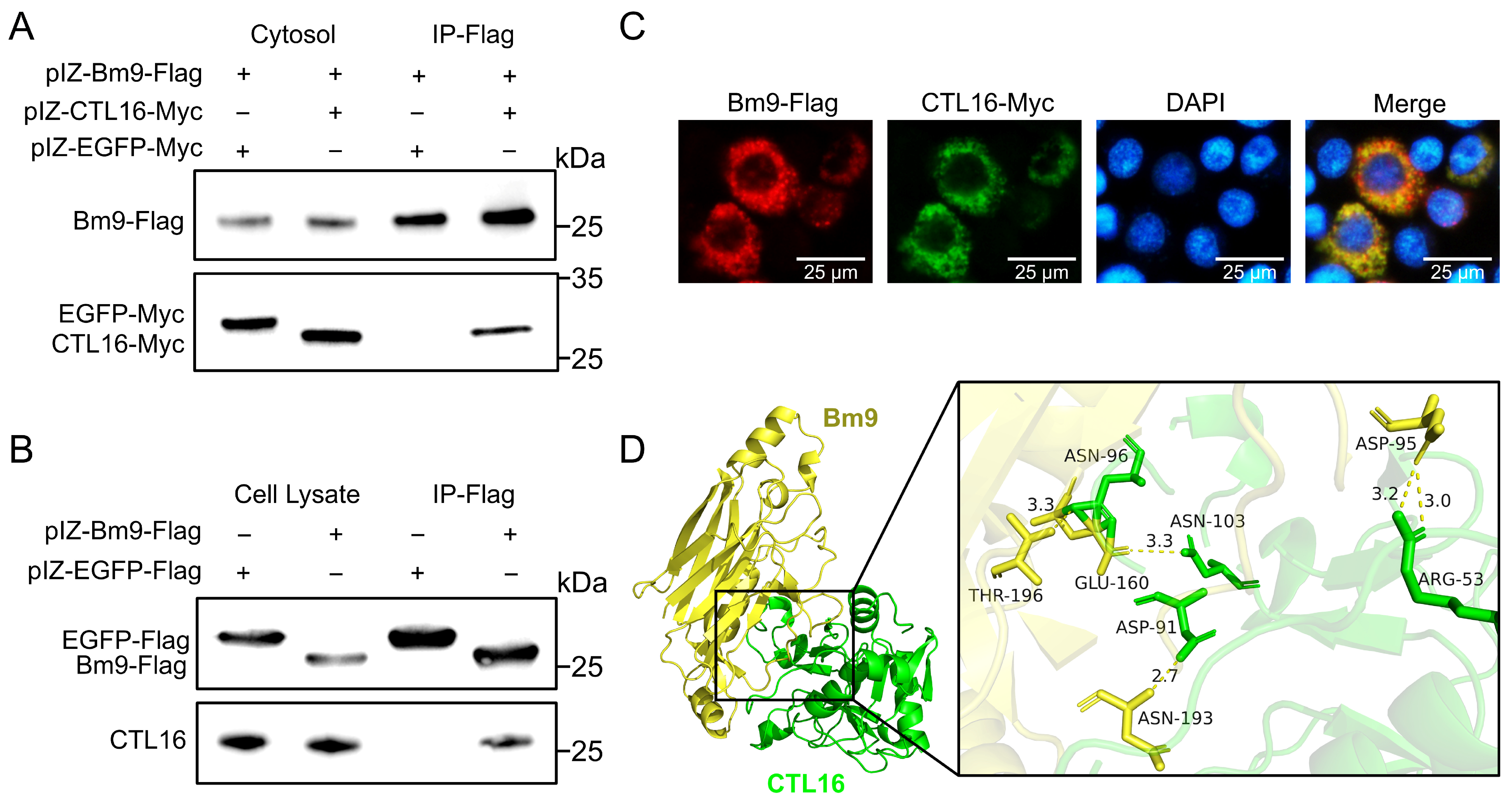 Biomolecules 16 00890 g005 Biomolecules 16 00890 g005