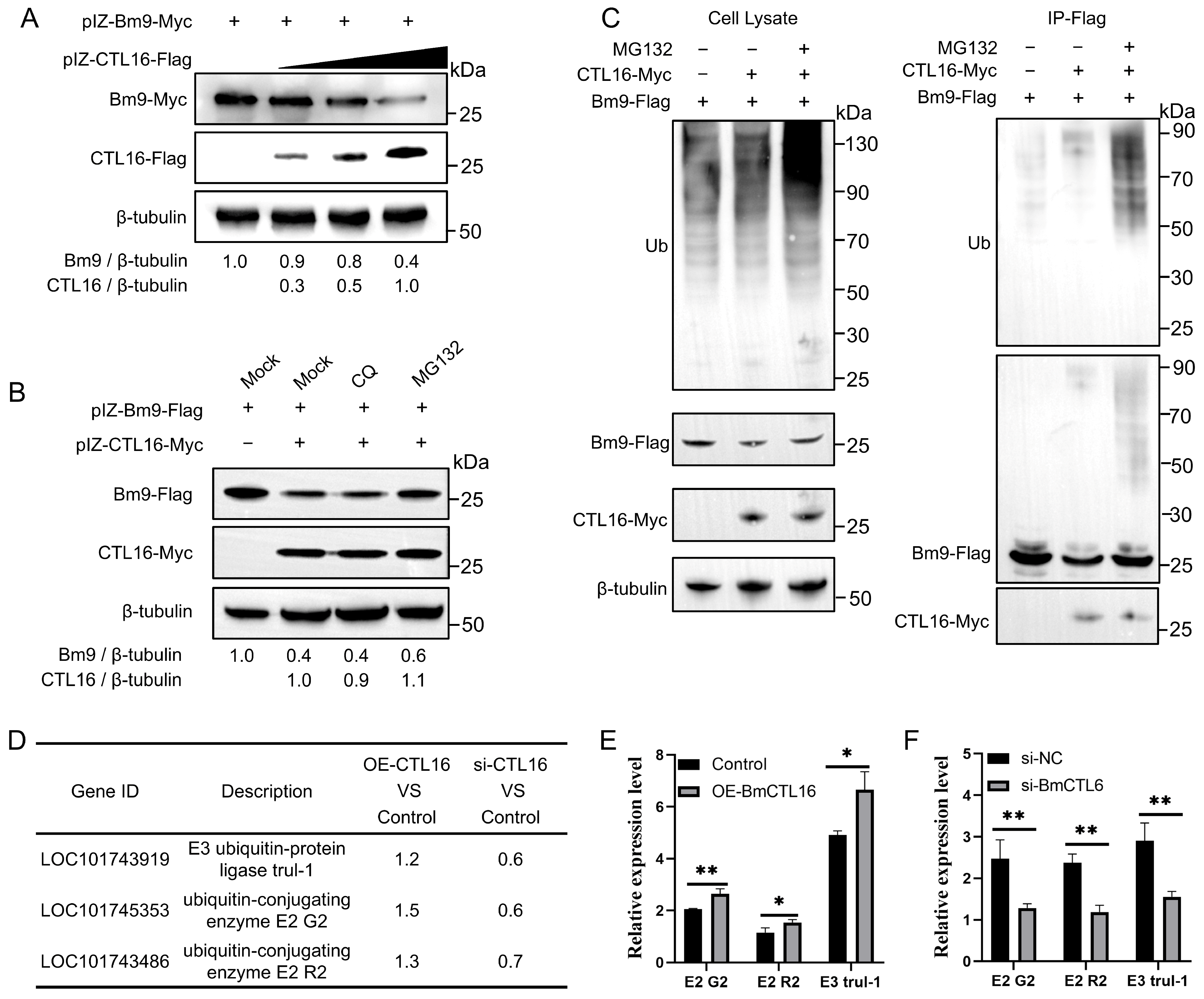 Biomolecules 16 00890 g006 Biomolecules 16 00890 g006