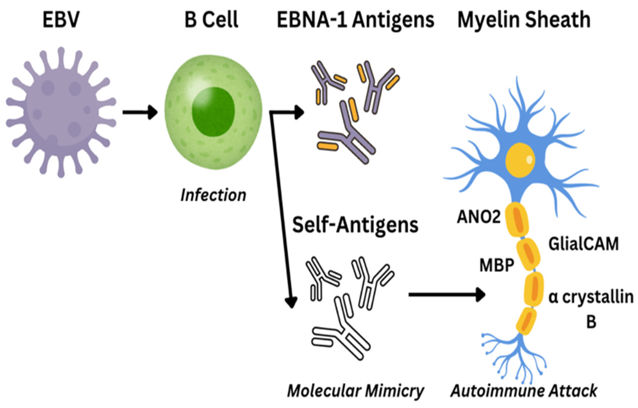 Biomolecules 16 00899 g002