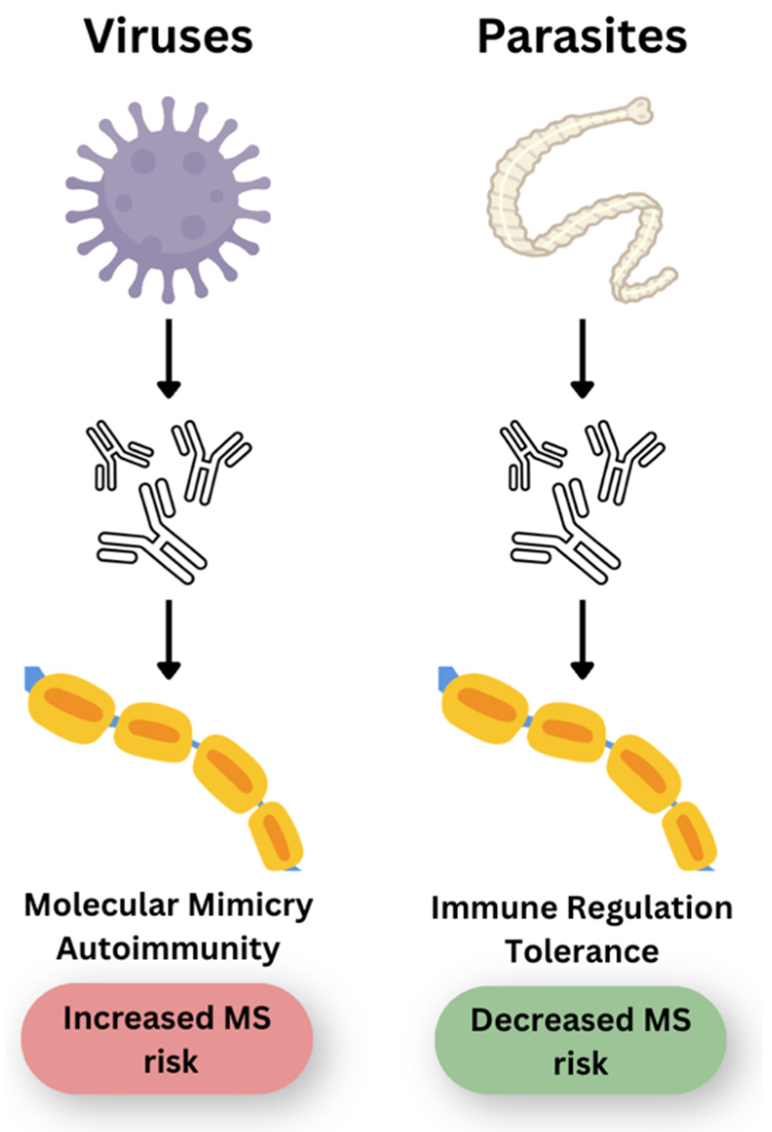 Biomolecules 16 00899 g003