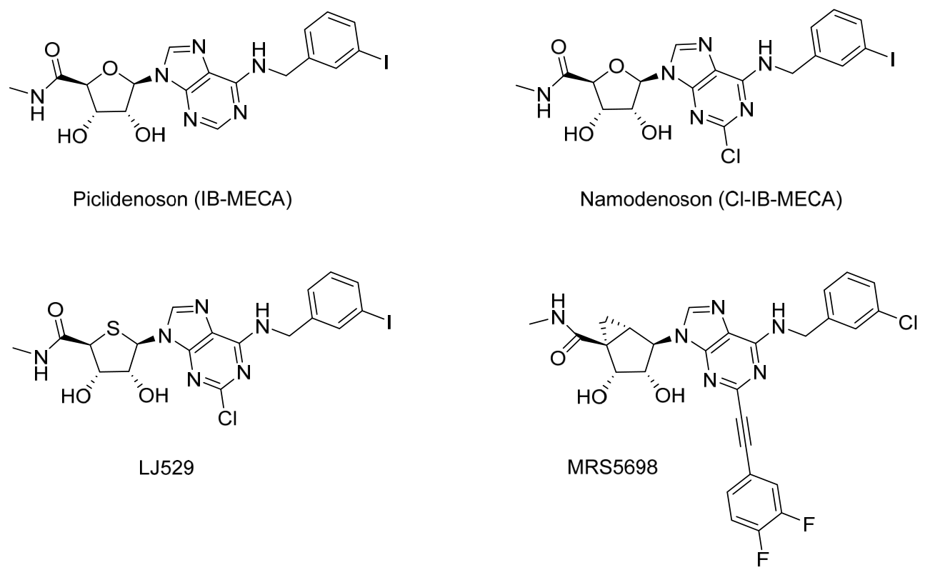 Biomolecules 16 00907 g001 Biomolecules 16 00907 g001