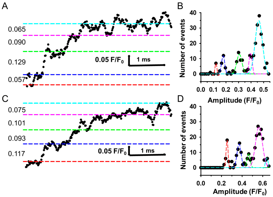 Biomolecules 16 00910 g004