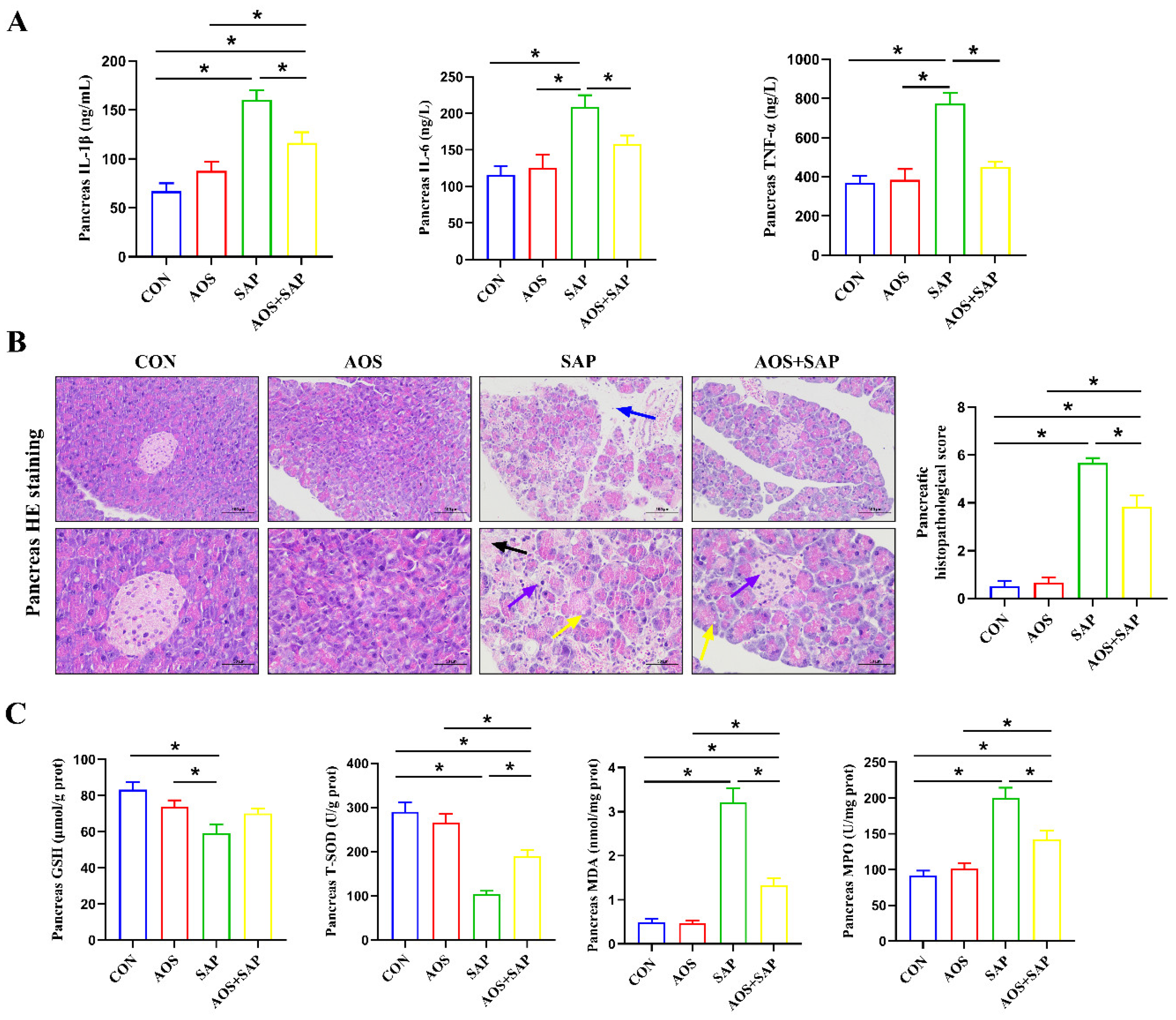 Biomolecules 16 00917 g002 Biomolecules 16 00917 g002