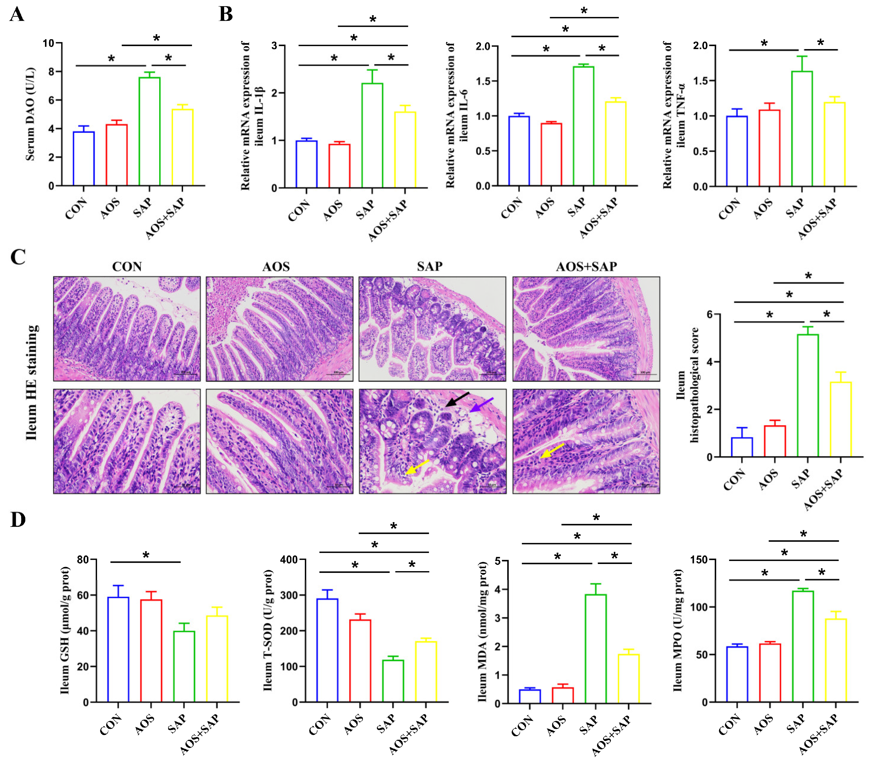 Biomolecules 16 00917 g003 Biomolecules 16 00917 g003