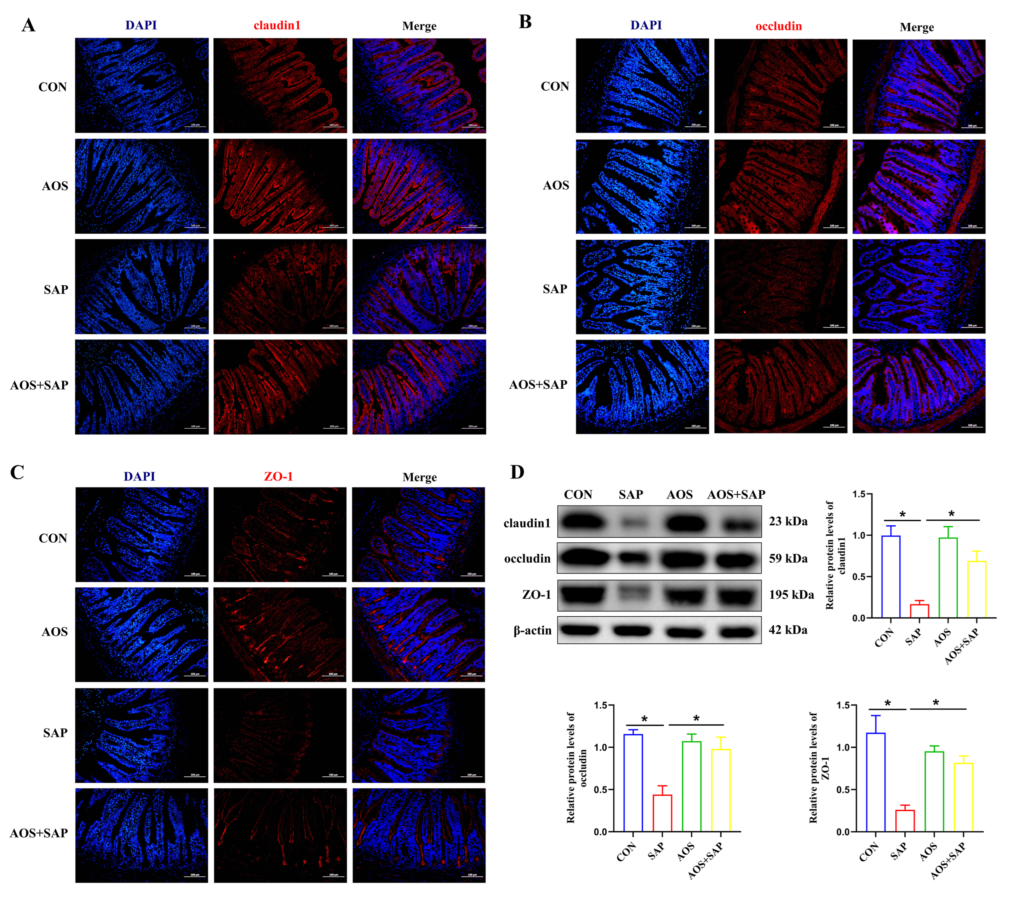 Biomolecules 16 00917 g004 Biomolecules 16 00917 g004