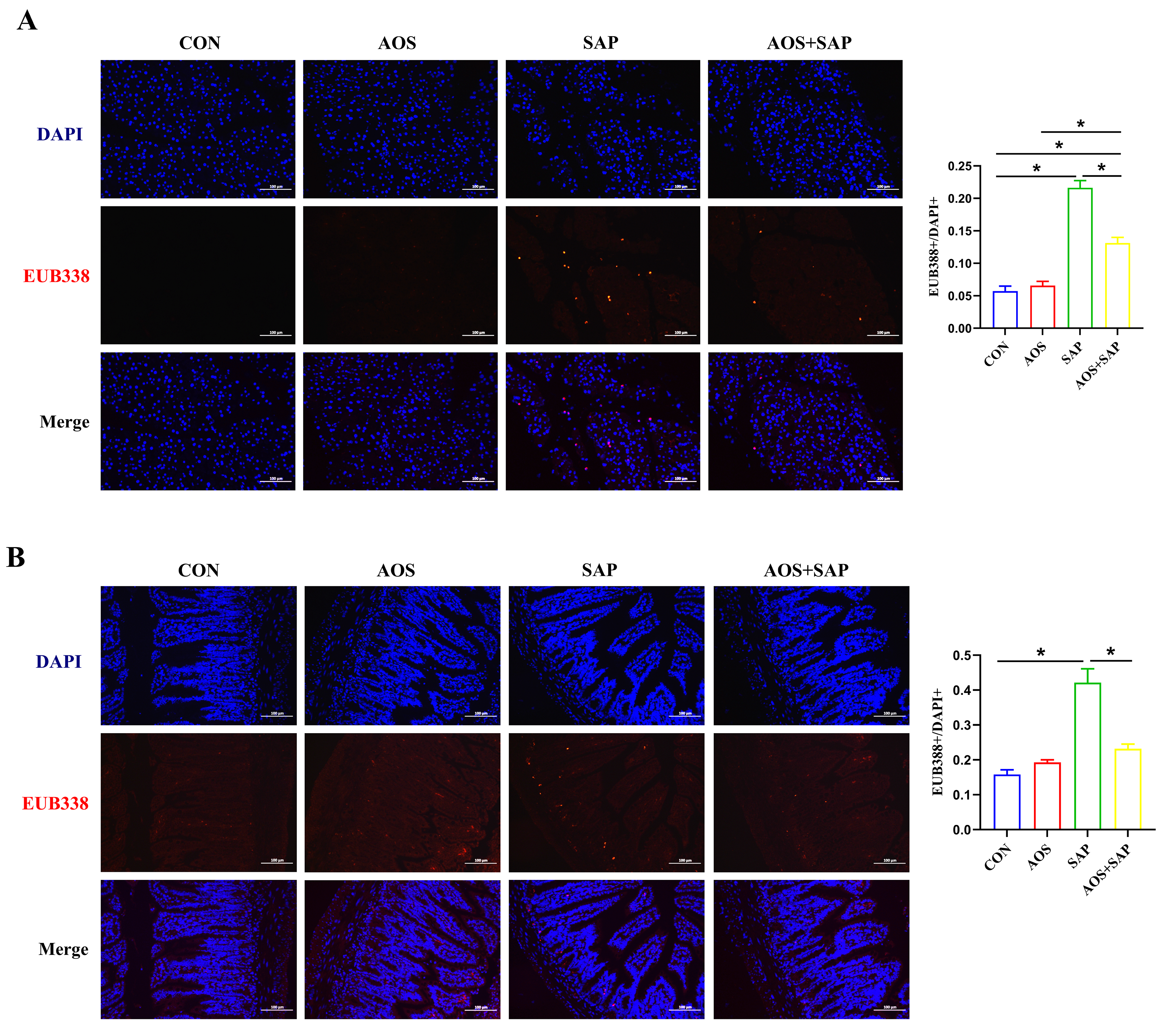 Biomolecules 16 00917 g005 Biomolecules 16 00917 g005