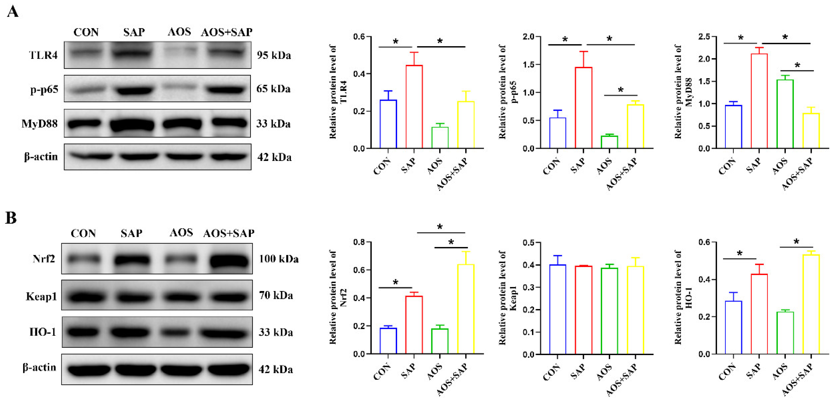 Biomolecules 16 00917 g006 Biomolecules 16 00917 g006