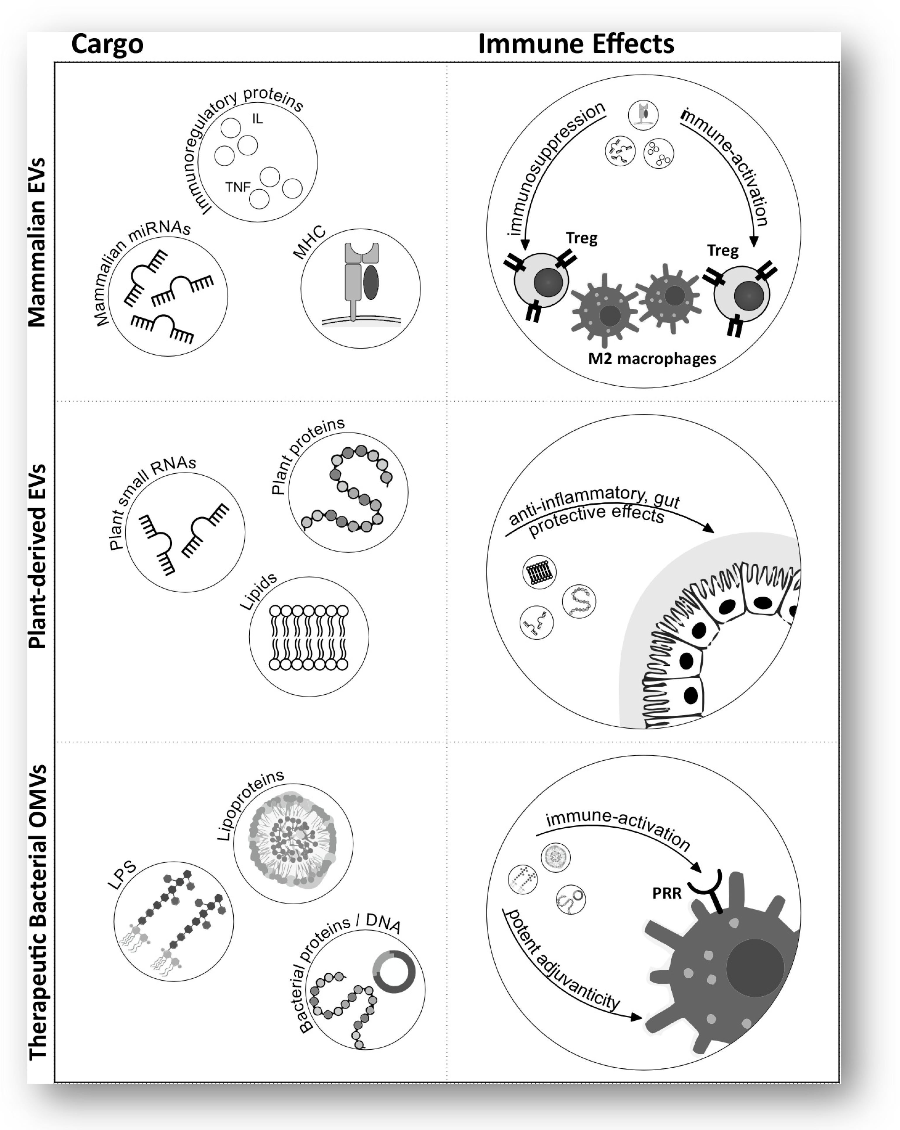 Biomolecules 16 00919 g002 Biomolecules 16 00919 g002