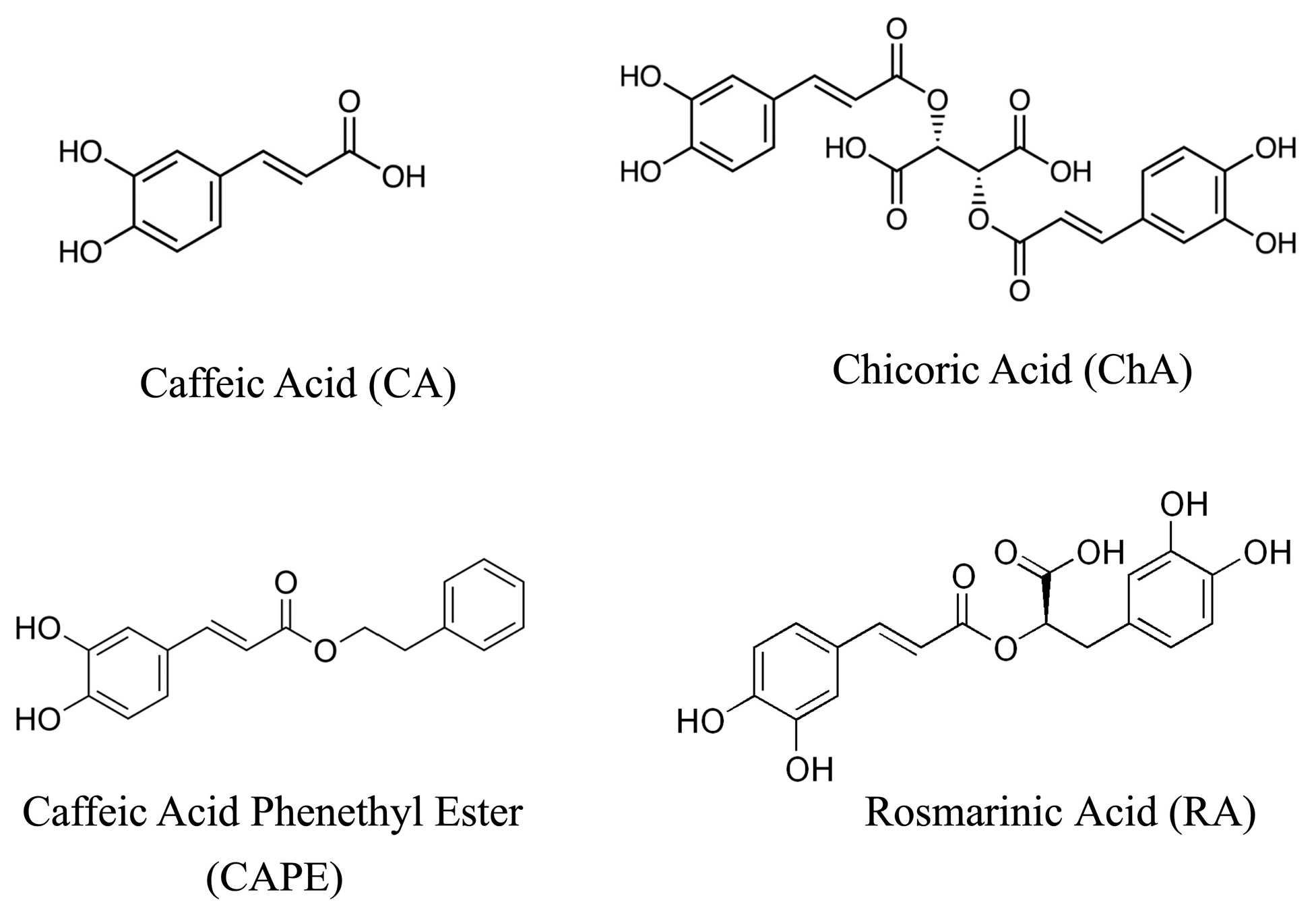 Biomolecules 16 00920 g002 Biomolecules 16 00920 g002